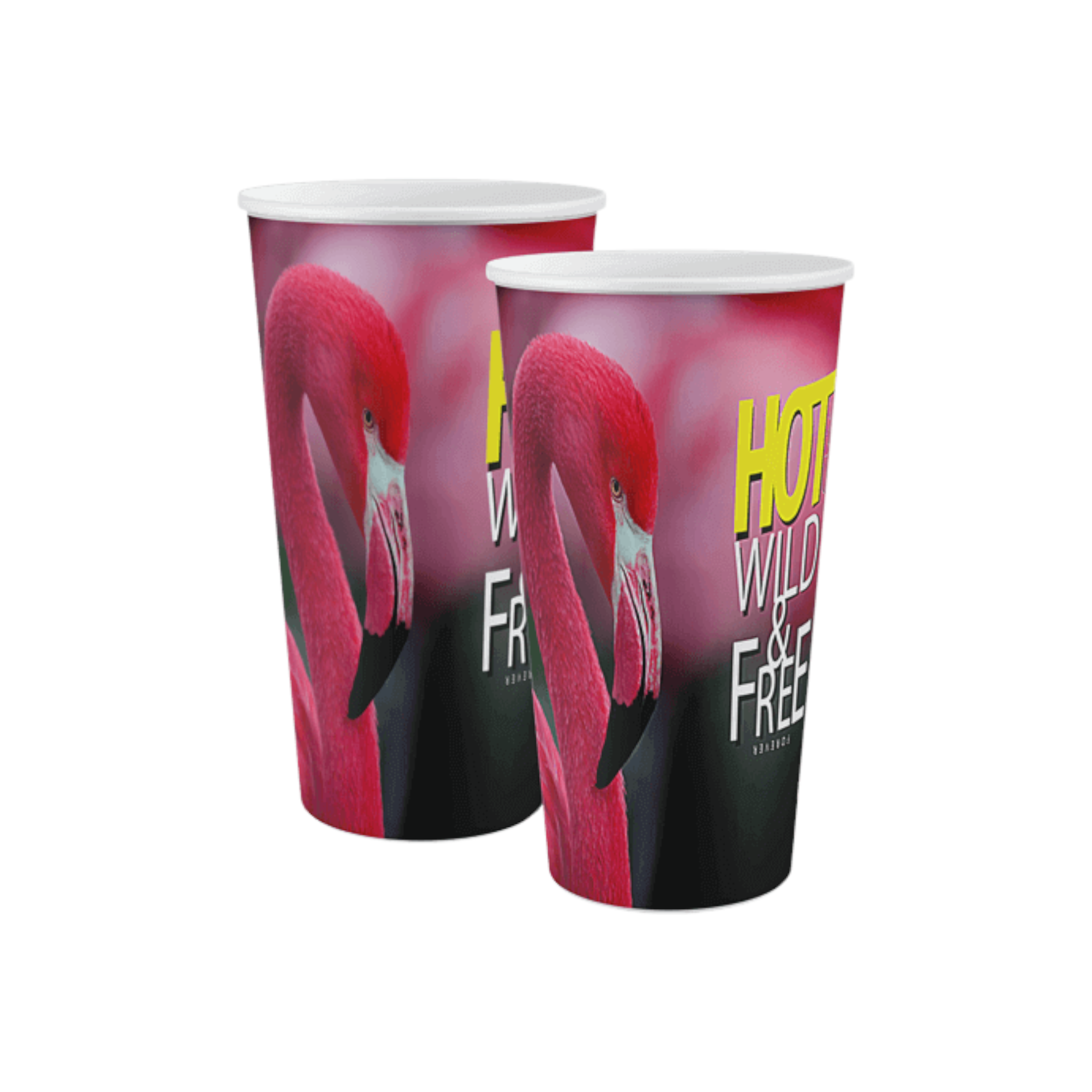 Titiz Luna Ruby Drinking Coffee Cup 650ml AP-9053