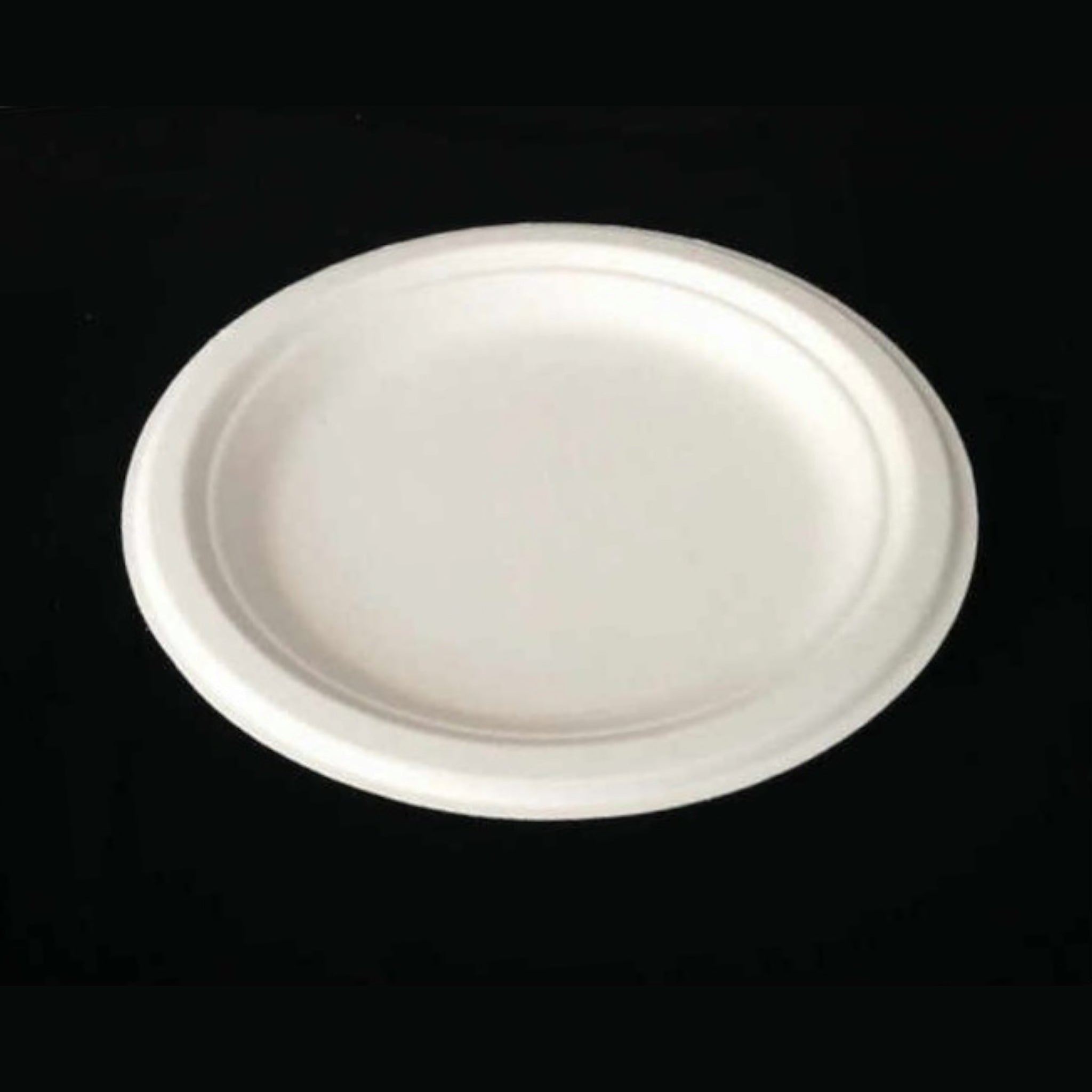 Biodegradable Bagasse Takeaway Plate Round 23cm