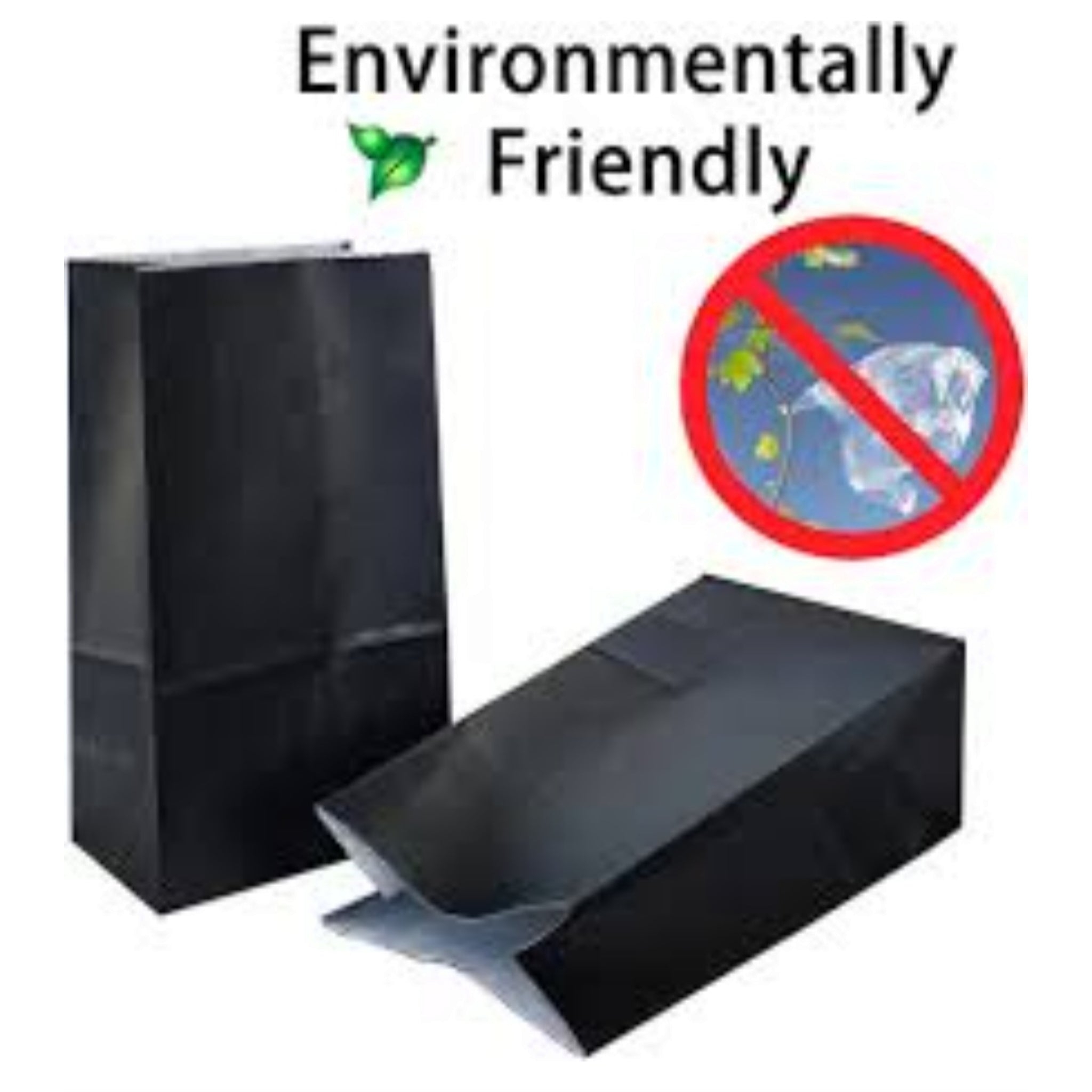 Kraft Paper Party Treat Bags Plain 24x13x8cm 10pack