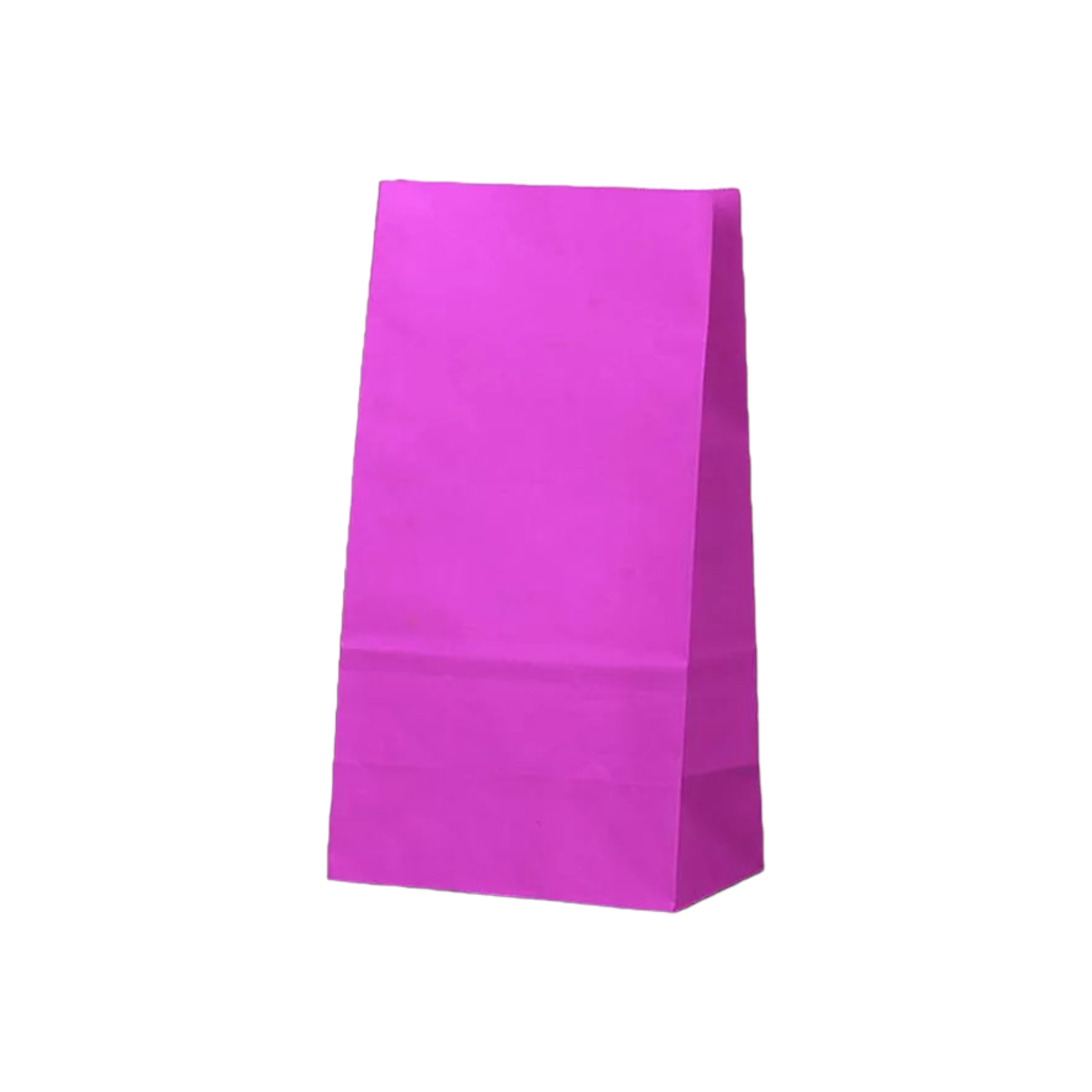 Kraft Paper Party Treat Bags Plain 24x13x8cm 10pack