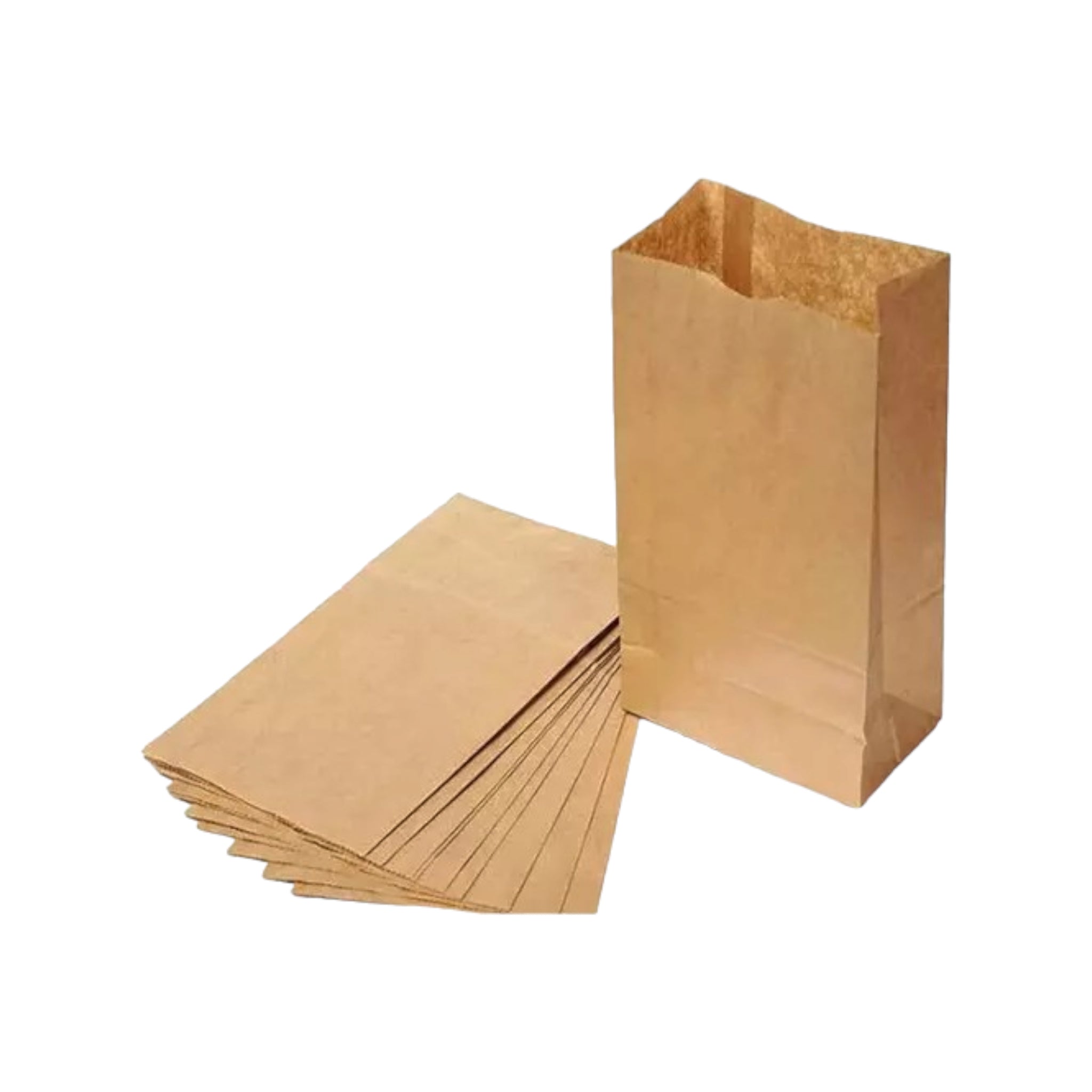 Kraft Paper Party Treat Bags Plain 24x13x8cm 10pack