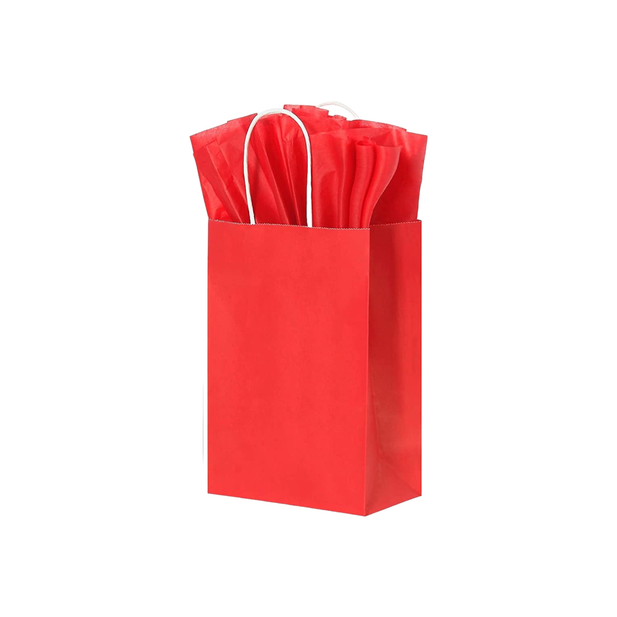 Kraft Paper Gift Bag 120gsm with Paper Twist Handle