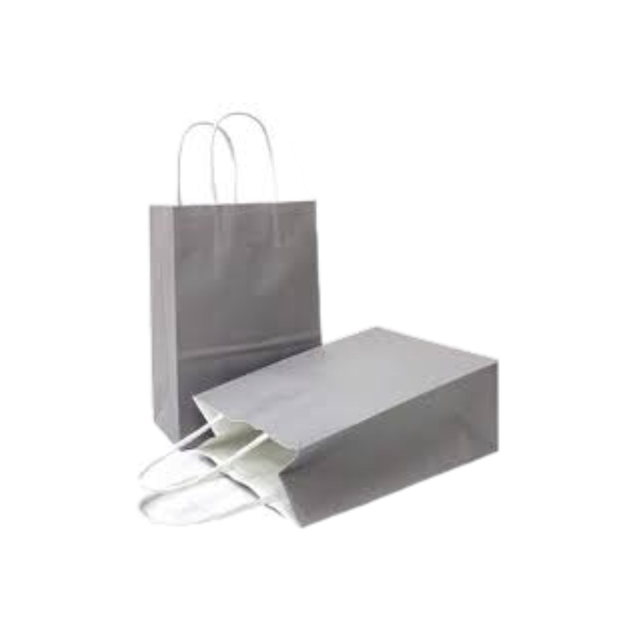 Kraft Paper Gift Bag 120gsm with Paper Twist Handle
