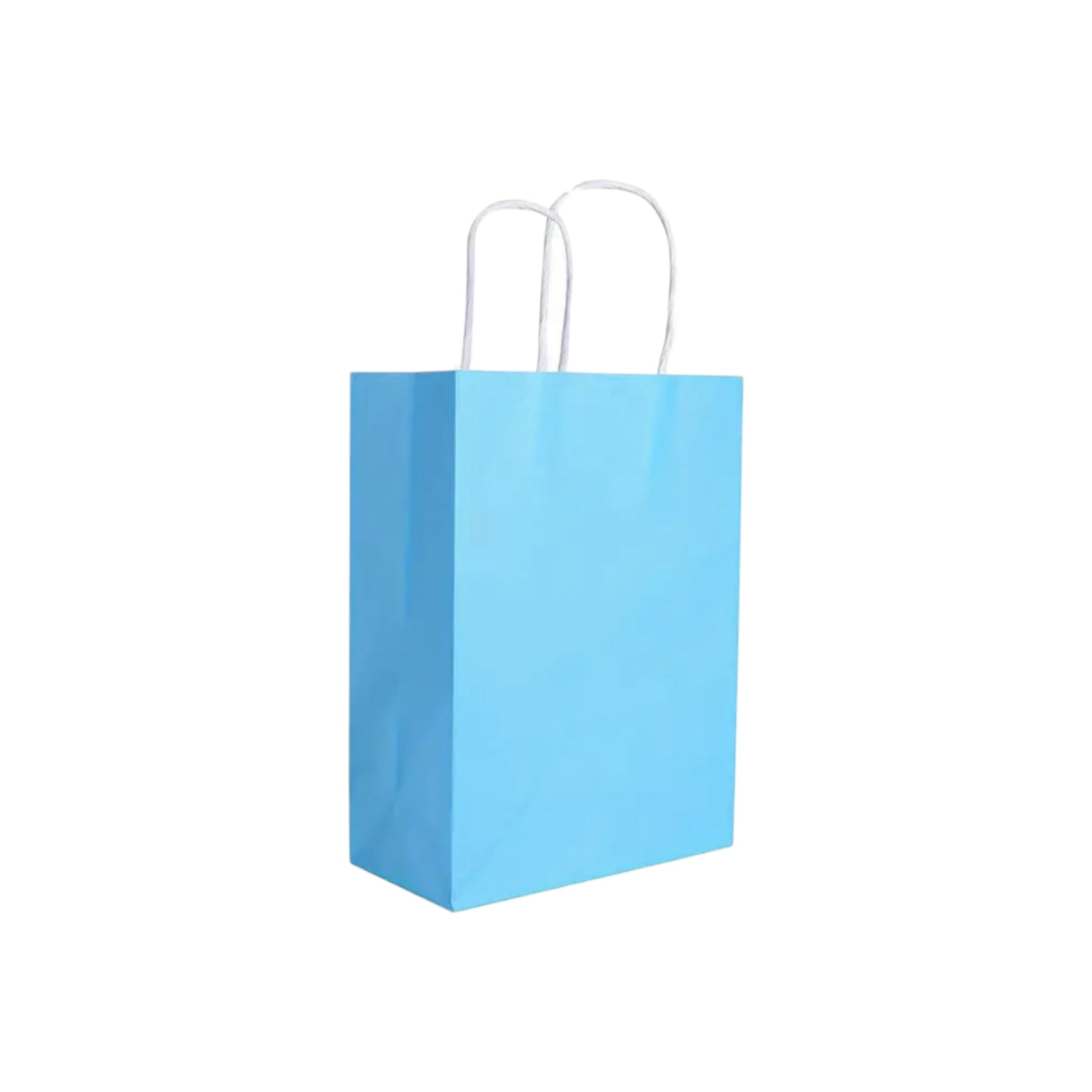 Kraft Paper Gift Bag 120gsm with Paper Twist Handle