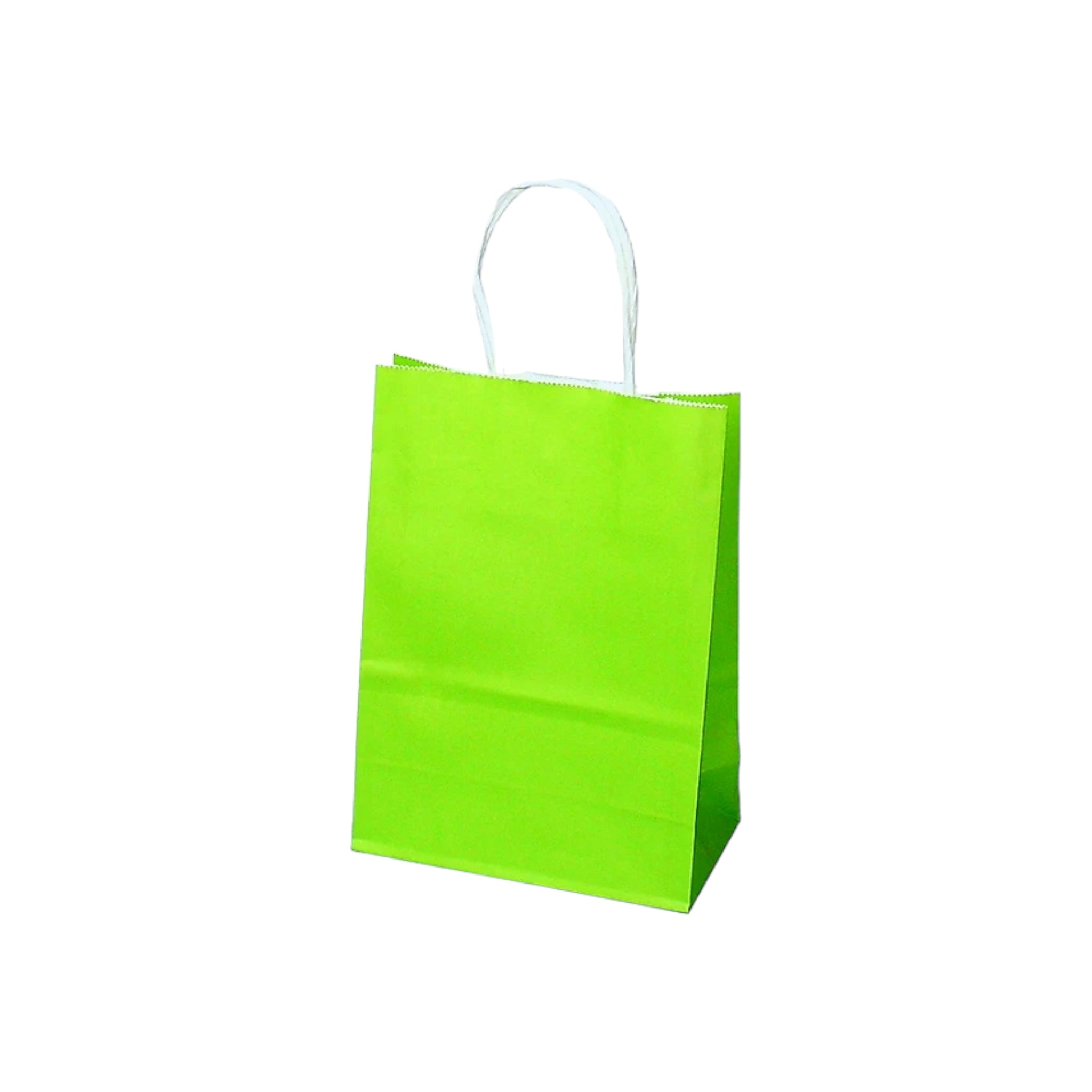 Kraft Paper Gift Bag 120gsm with Paper Twist Handle