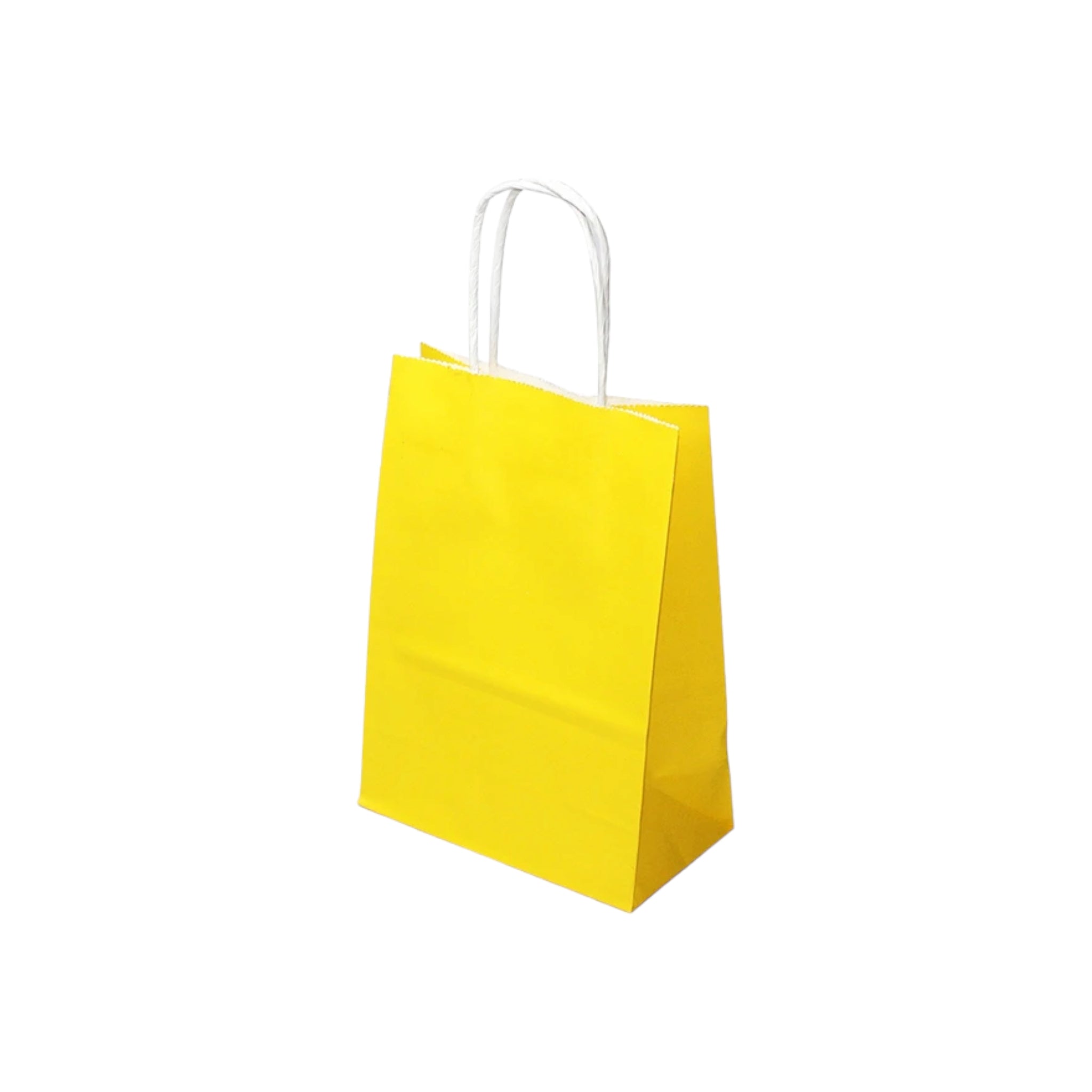 Kraft Paper Gift Bag 120gsm with Paper Twist Handle