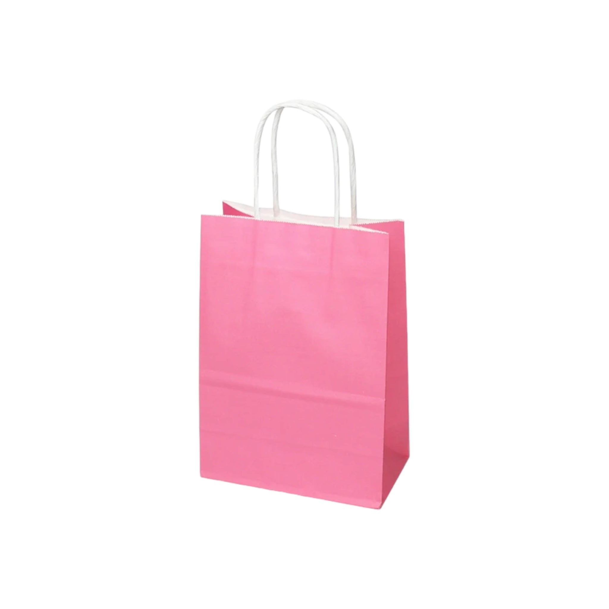 Kraft Paper Gift Bag 120gsm with Paper Twist Handle