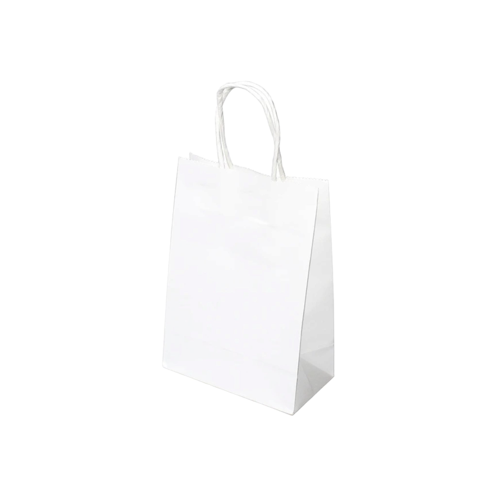 Kraft Paper Gift Bag 120gsm with Paper Twist Handle