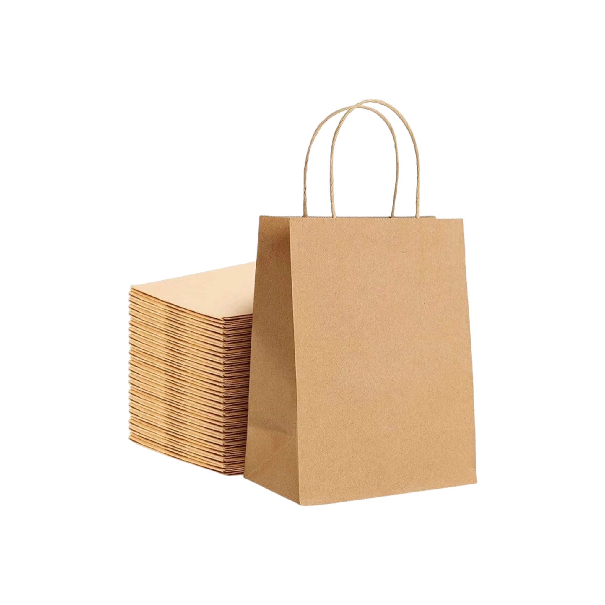 Kraft Paper Gift Bag 120gsm with Paper Twist Handle