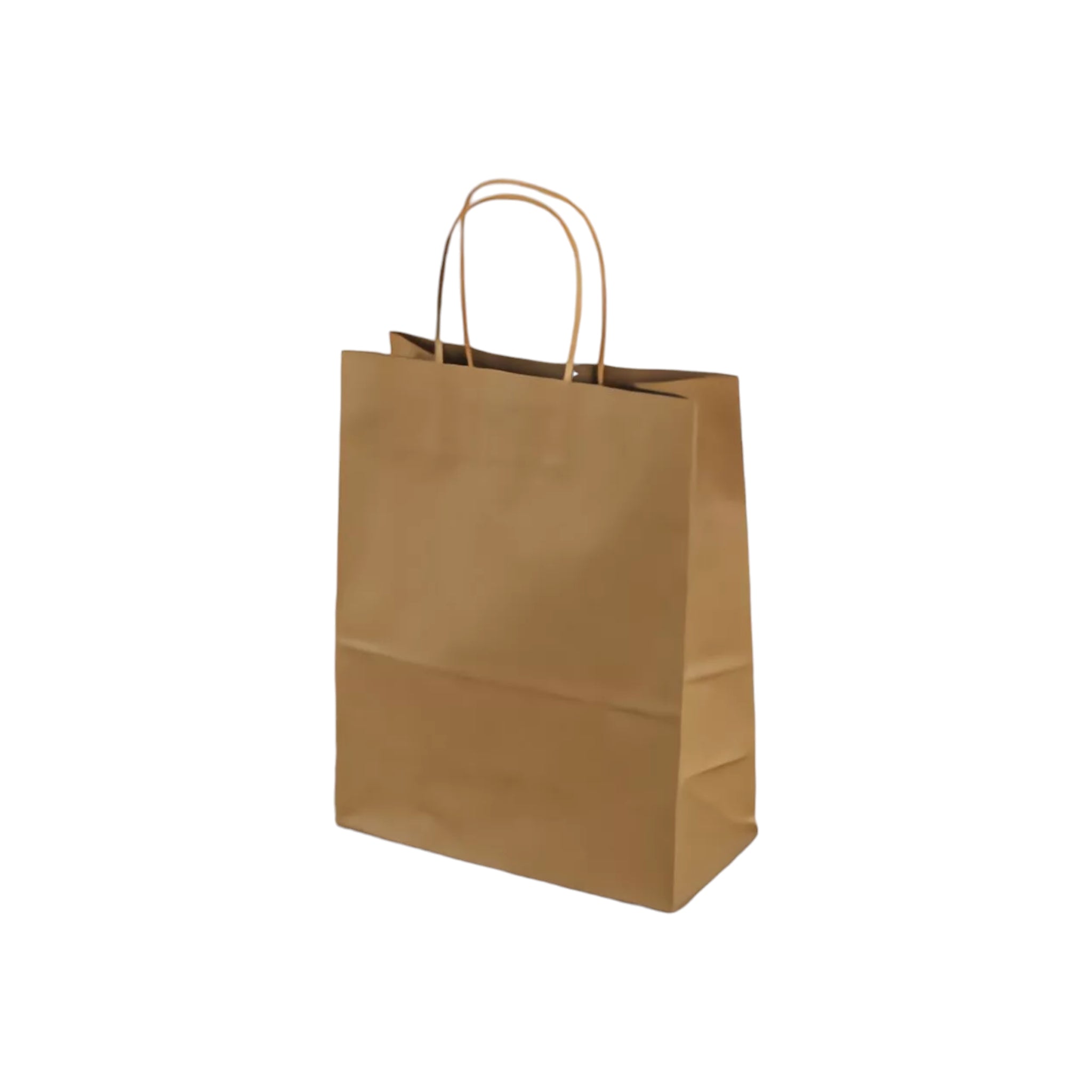 Kraft Paper Gift Bag 120gsm with Paper Twist Handle