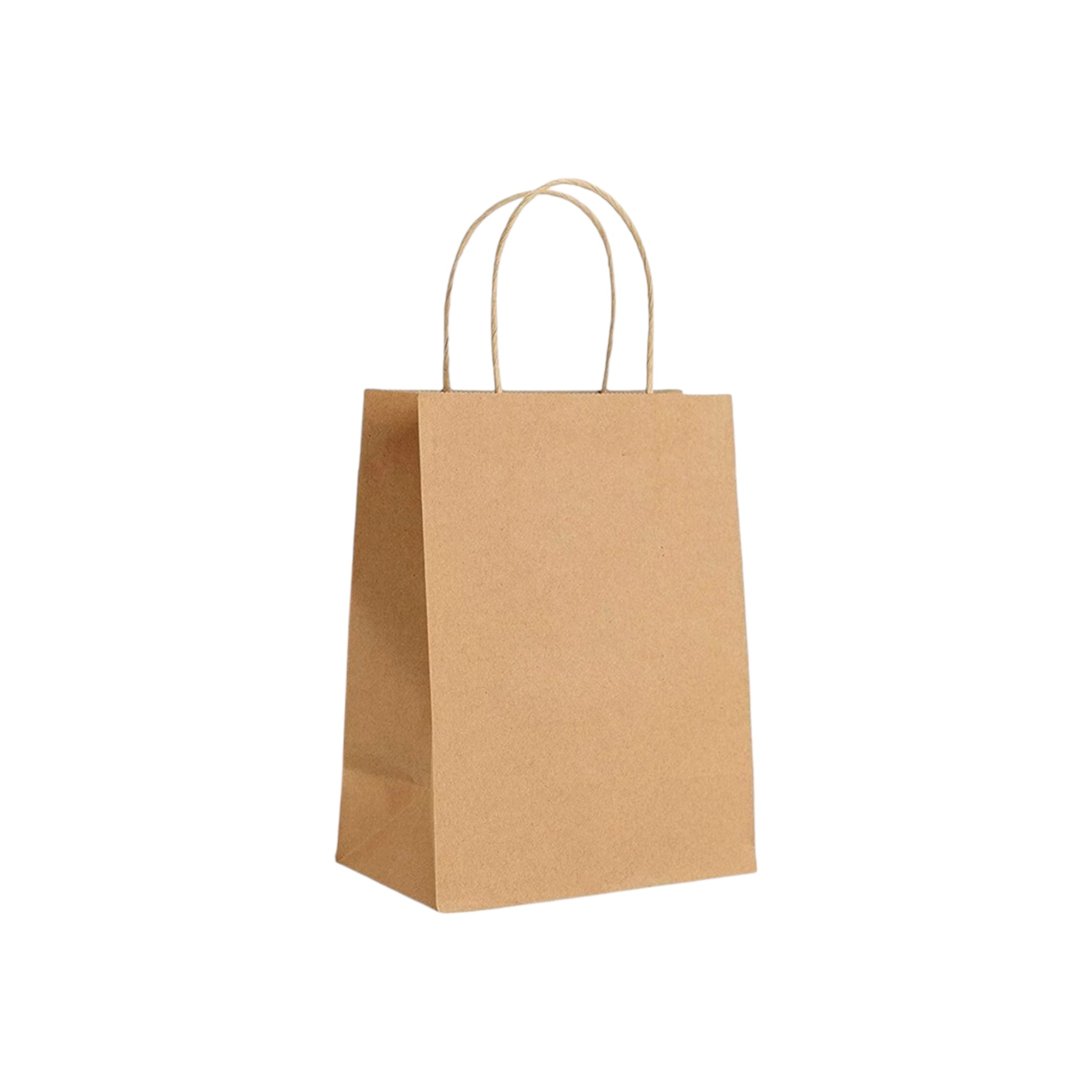 Kraft Paper Gift Bag 120gsm with Paper Twist Handle