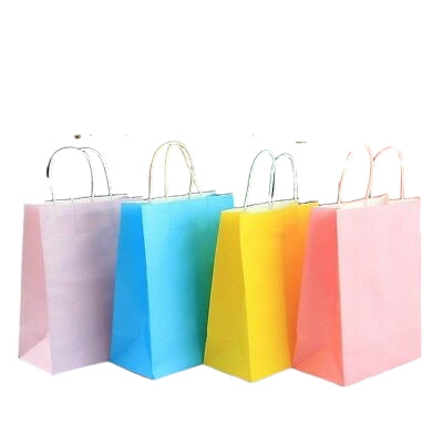 Kraft Paper Gift Bag 120gsm with Paper Twist Handle