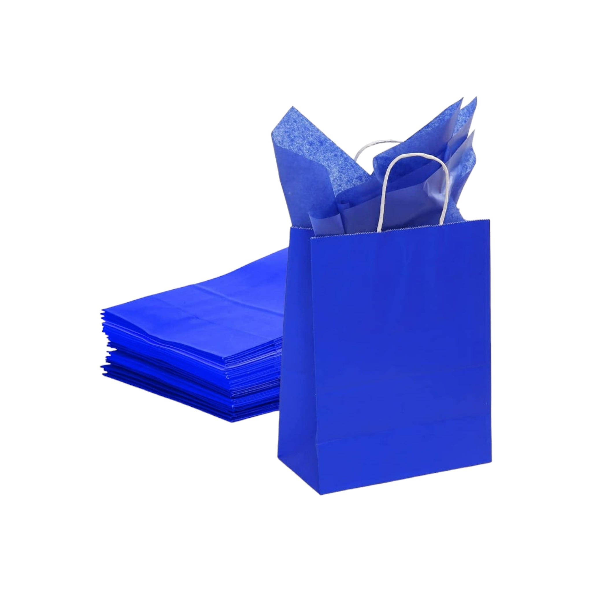 Kraft Paper Gift Bag 120gsm with Paper Twist Handle