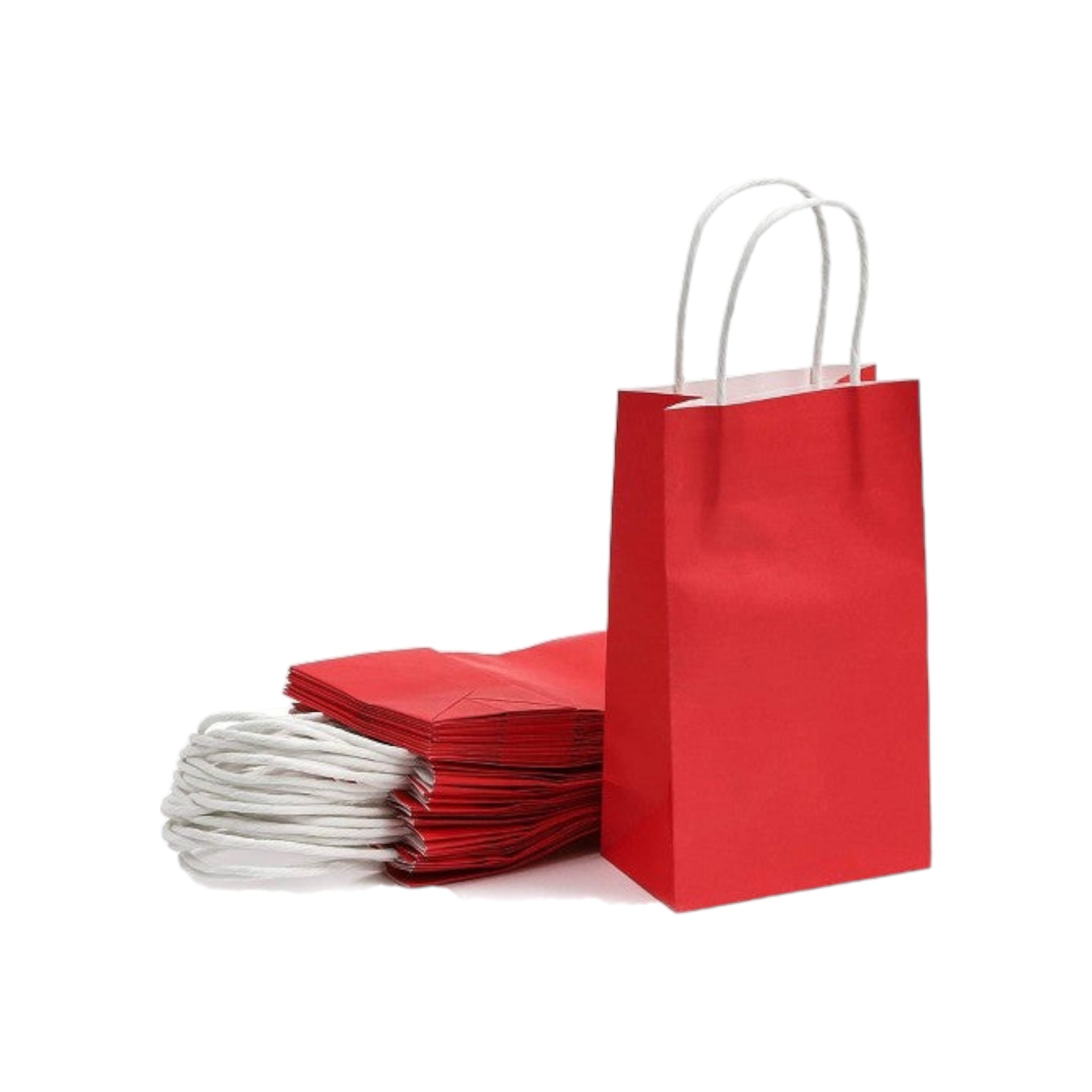 Kraft Paper Gift Bag 120gsm with Paper Twist Handle