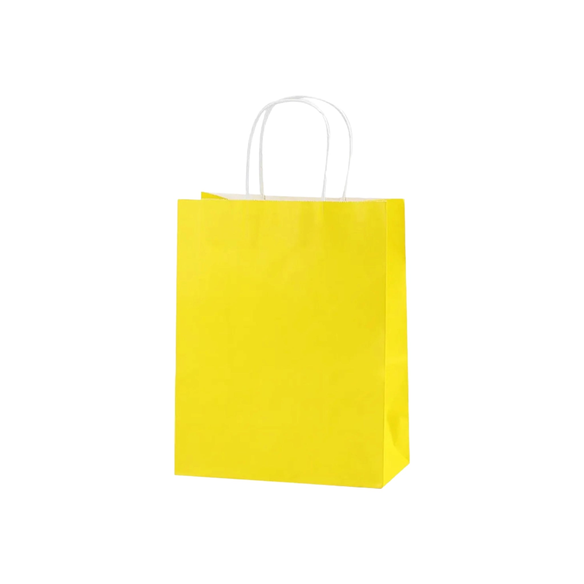 Kraft Paper Gift Bag 120gsm with Paper Twist Handle