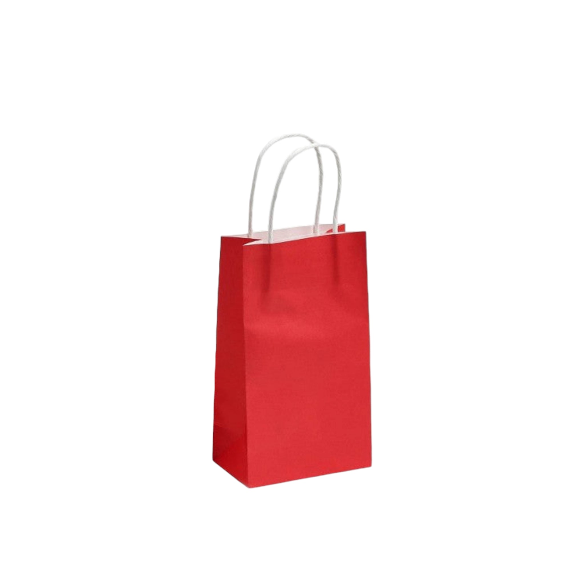 Kraft Paper Gift Bag 120gsm with Paper Twist Handle