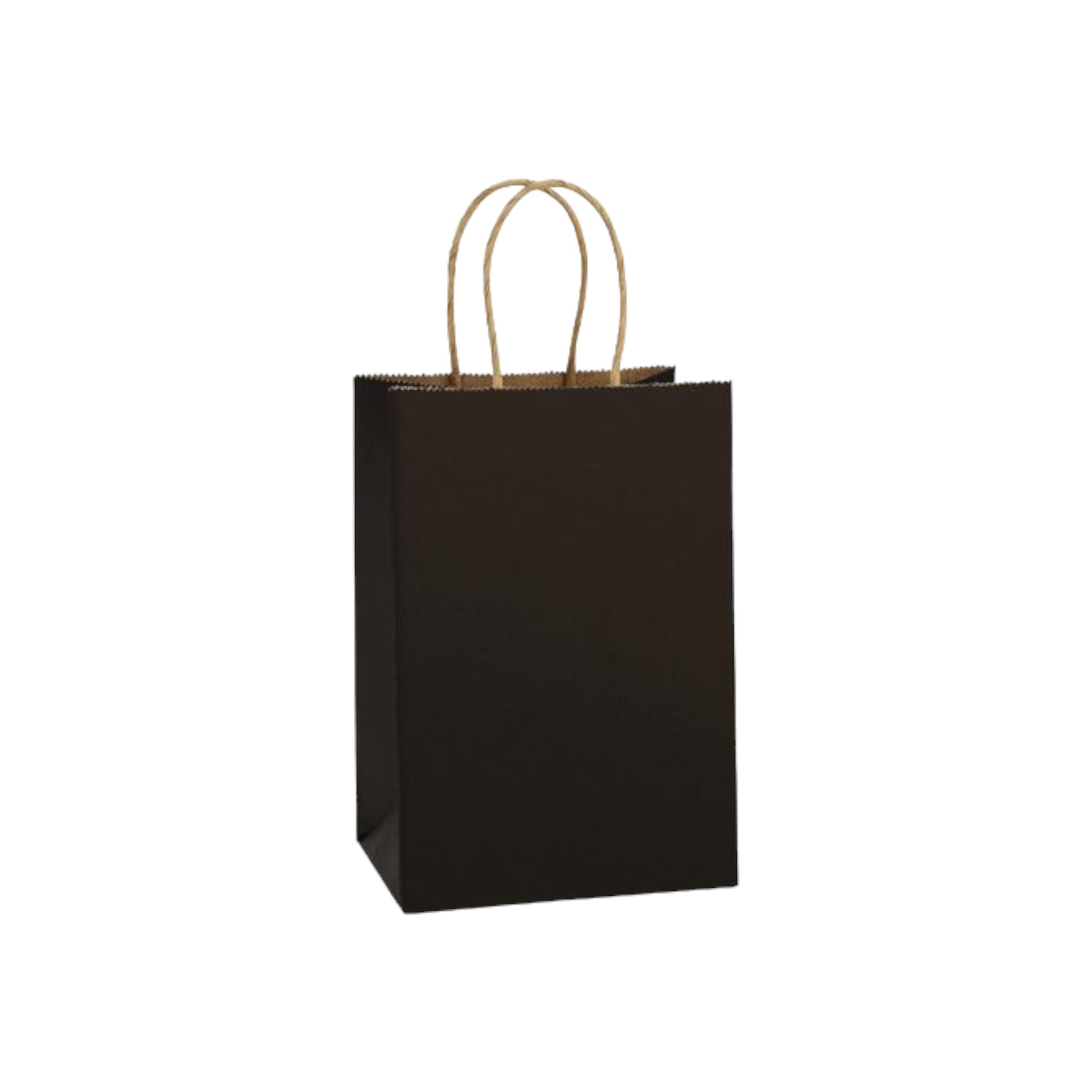 Kraft Paper Gift Bag 120gsm with Paper Twist Handle