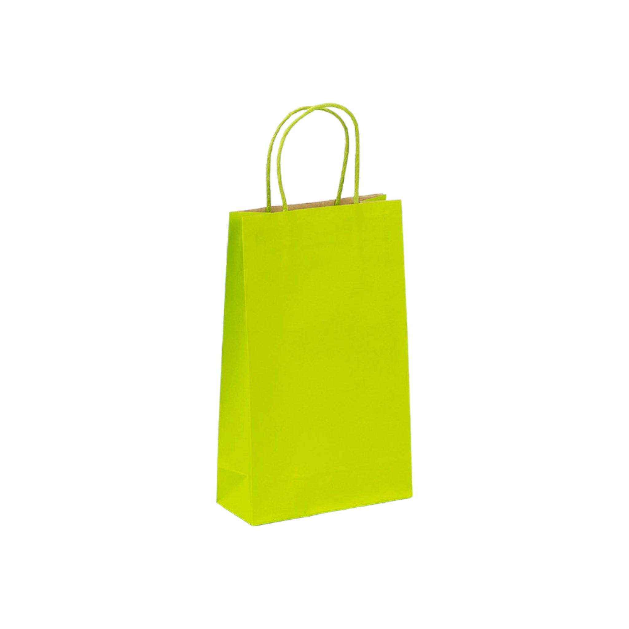 Kraft Paper Gift Bag 120gsm with Paper Twist Handle