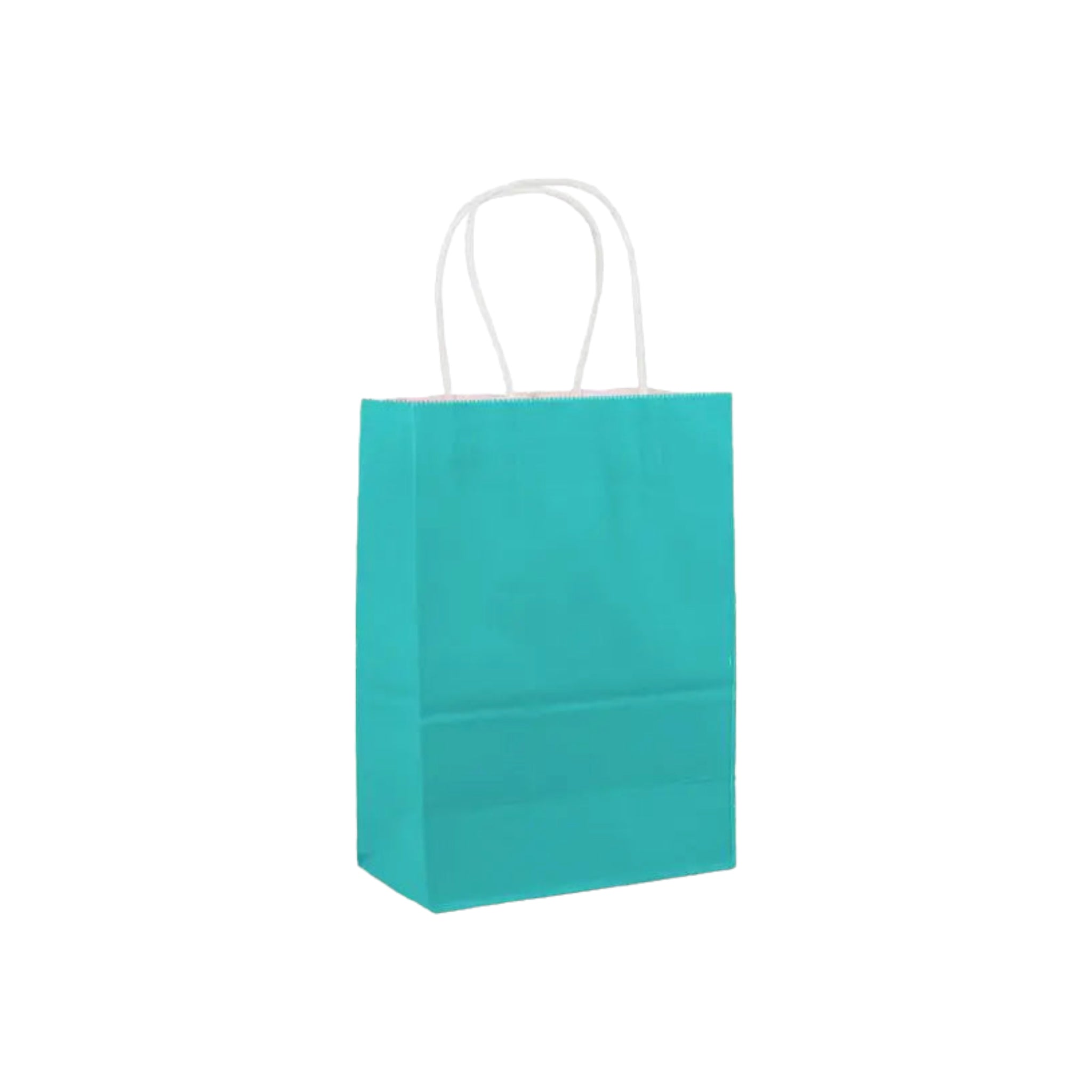 Kraft Paper Gift Bag 120gsm with Paper Twist Handle