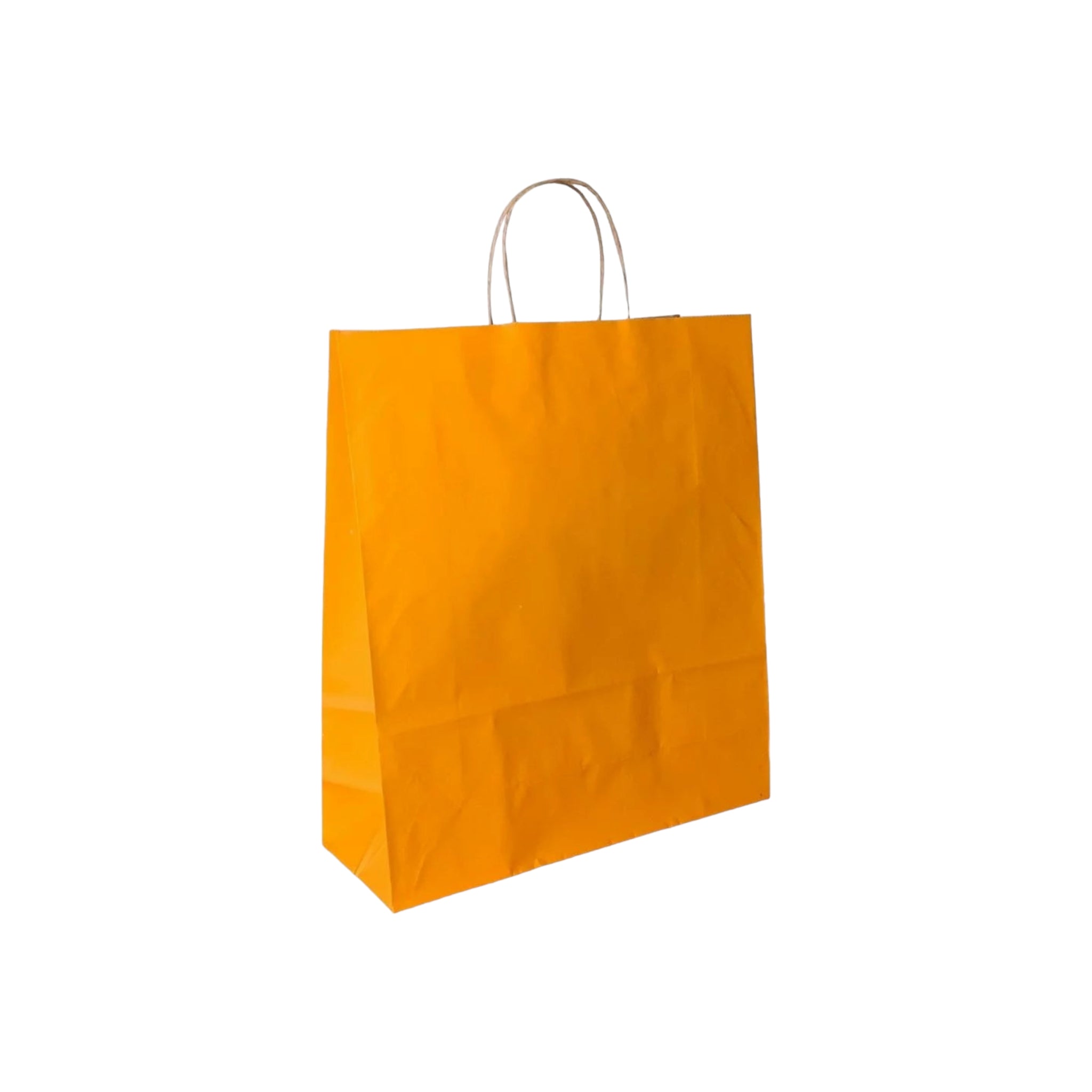 Kraft Paper Gift Bag 120gsm with Paper Twist Handle