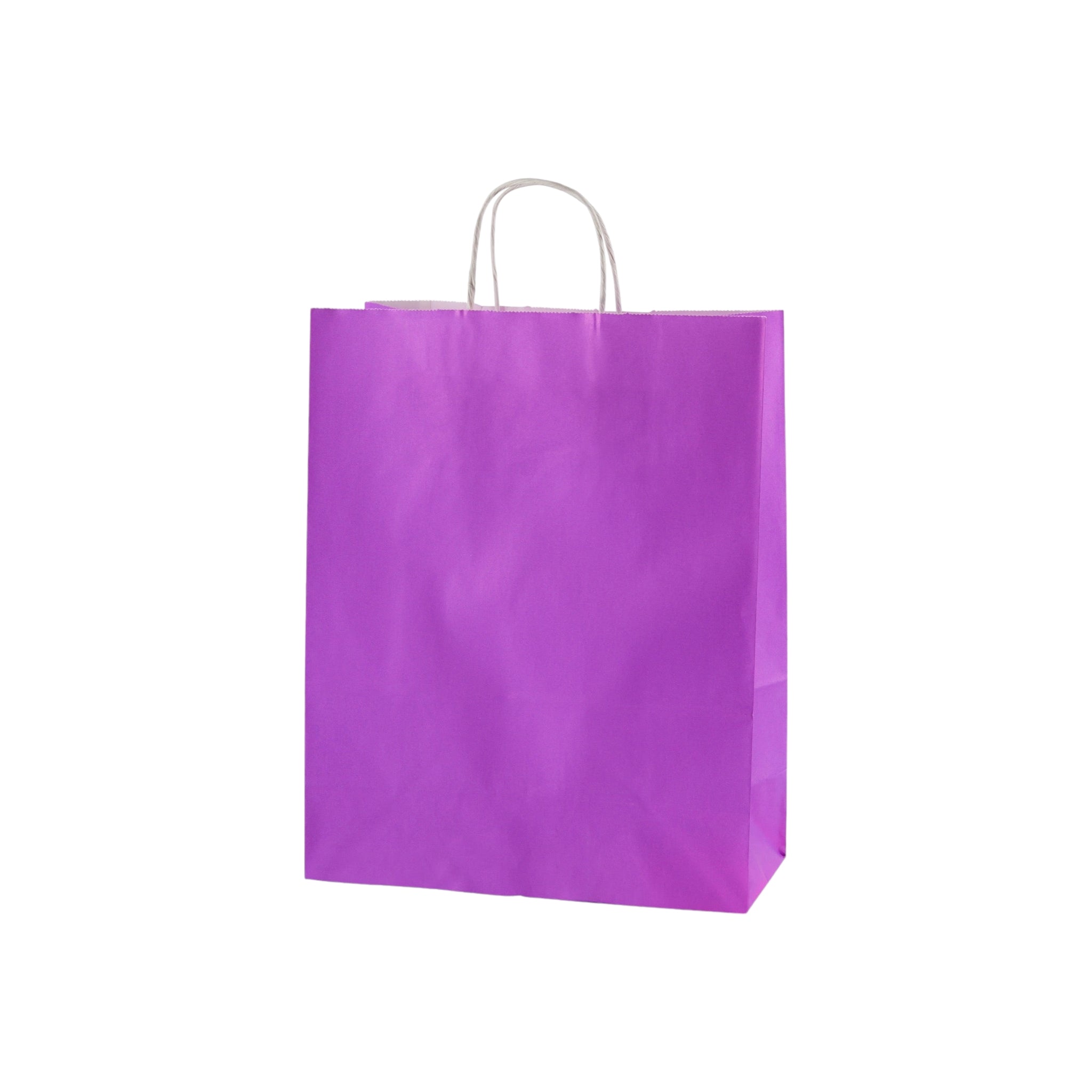 Kraft Paper Gift Bag 120gsm with Paper Twist Handle