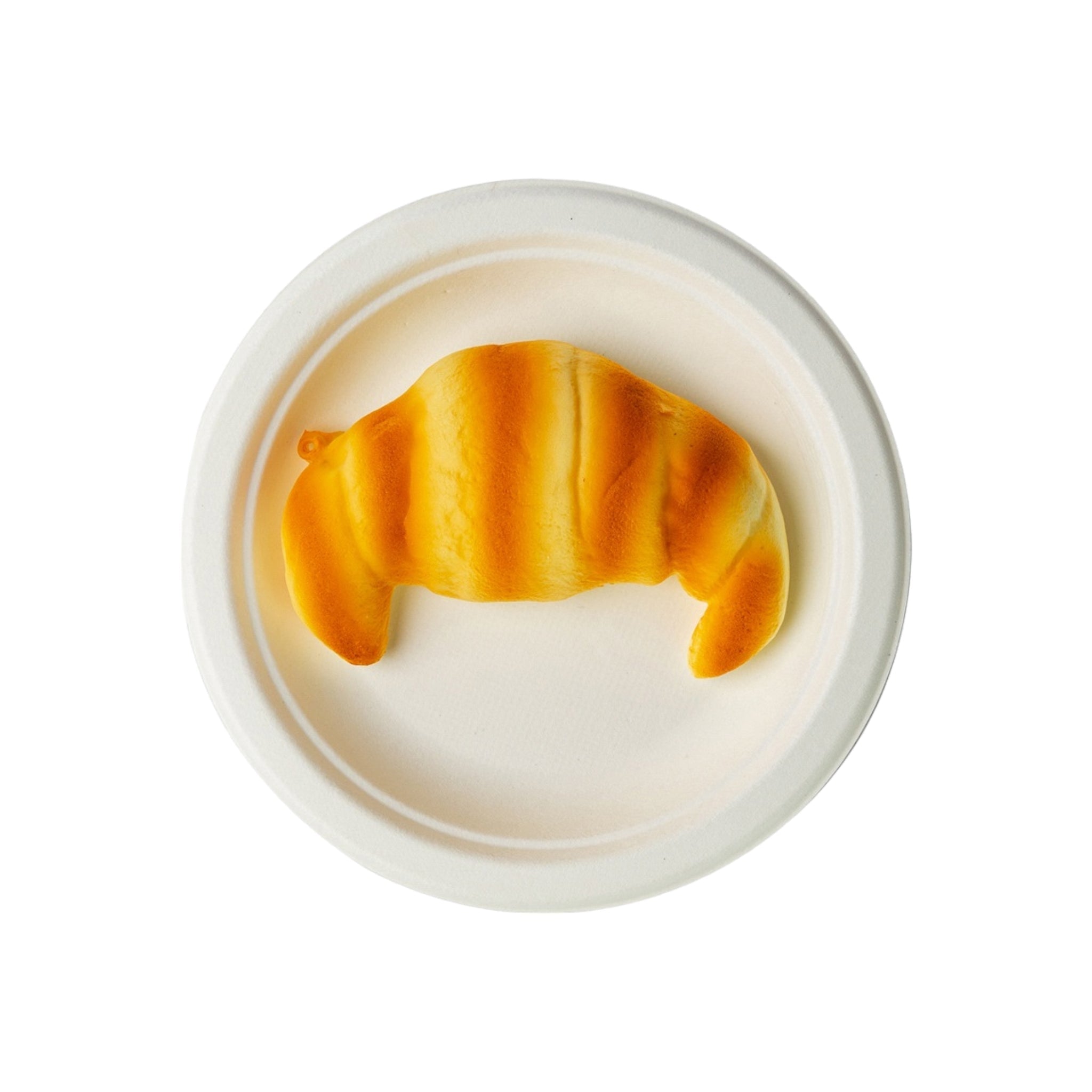 Biodegradable Bagasse Takeaway Plate Round 25cm