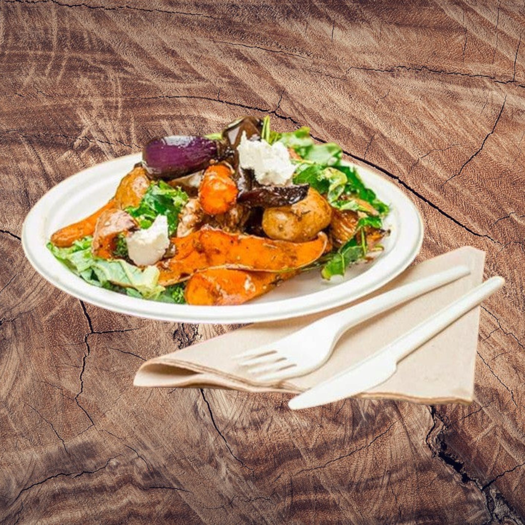 Biodegradable Bagasse Takeaway Plate Round 23cm