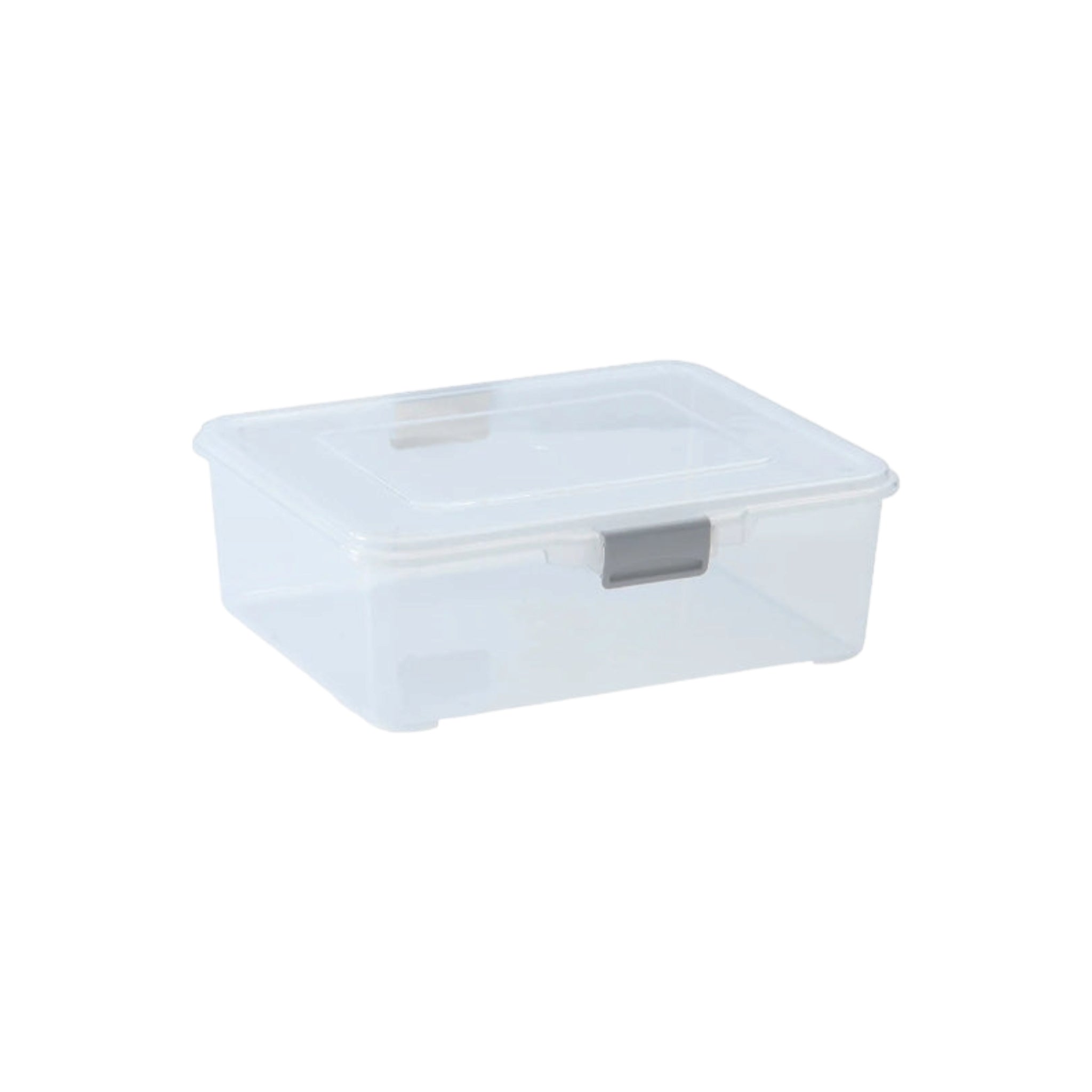 Regent 3.7L Plastic Pinki Storage Storage Utility Container Box 260x220x90mm