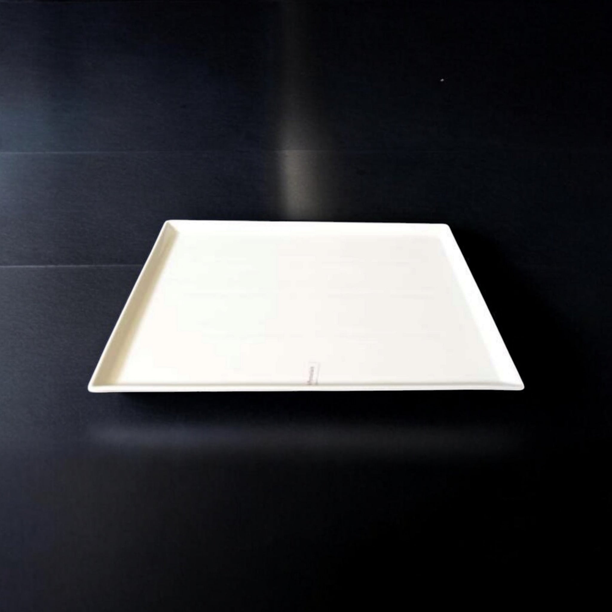 White Ceramic Rectangle Dinner Plate 13inch