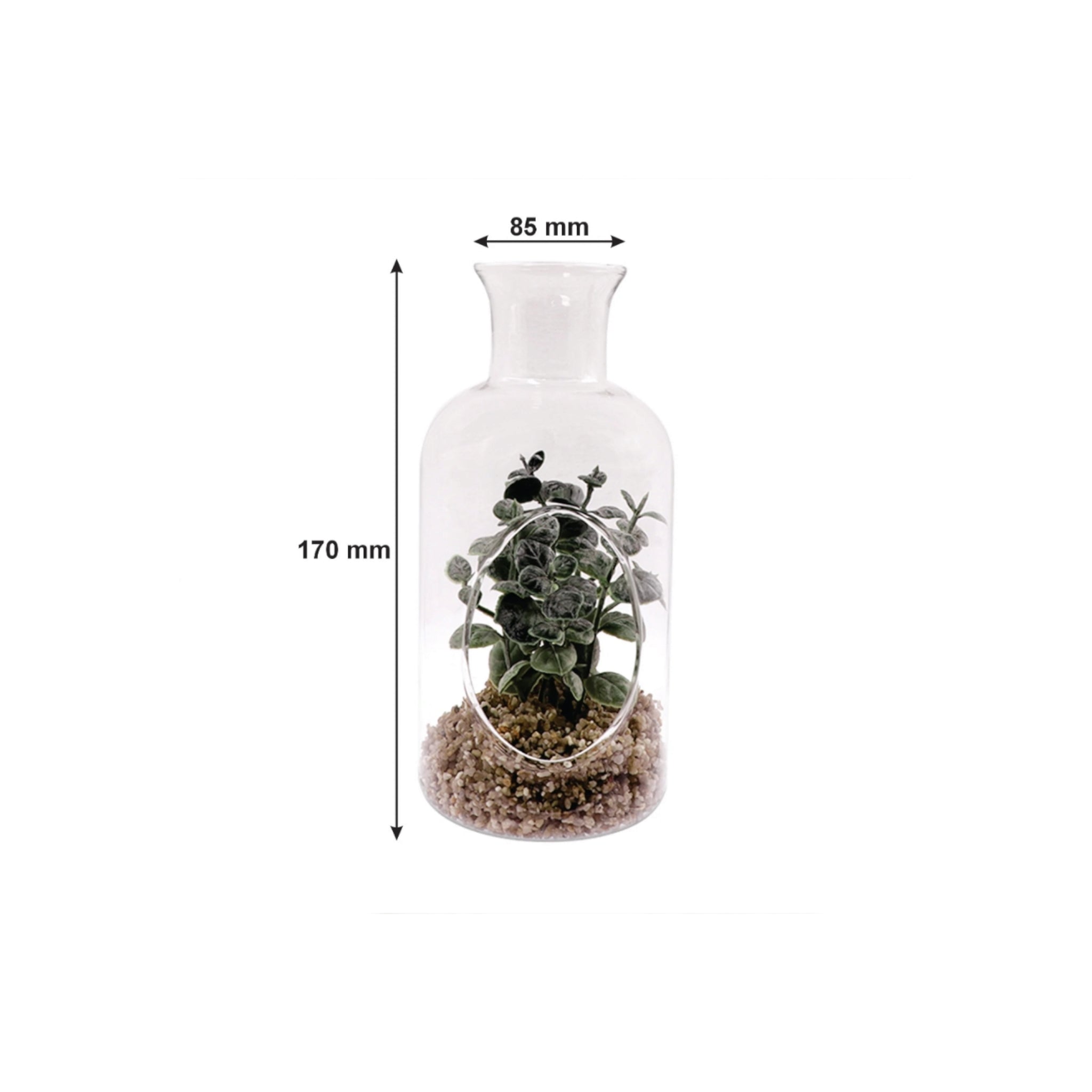 Regent Artificial Succulent In Clear Glass Bottle 80x160mm