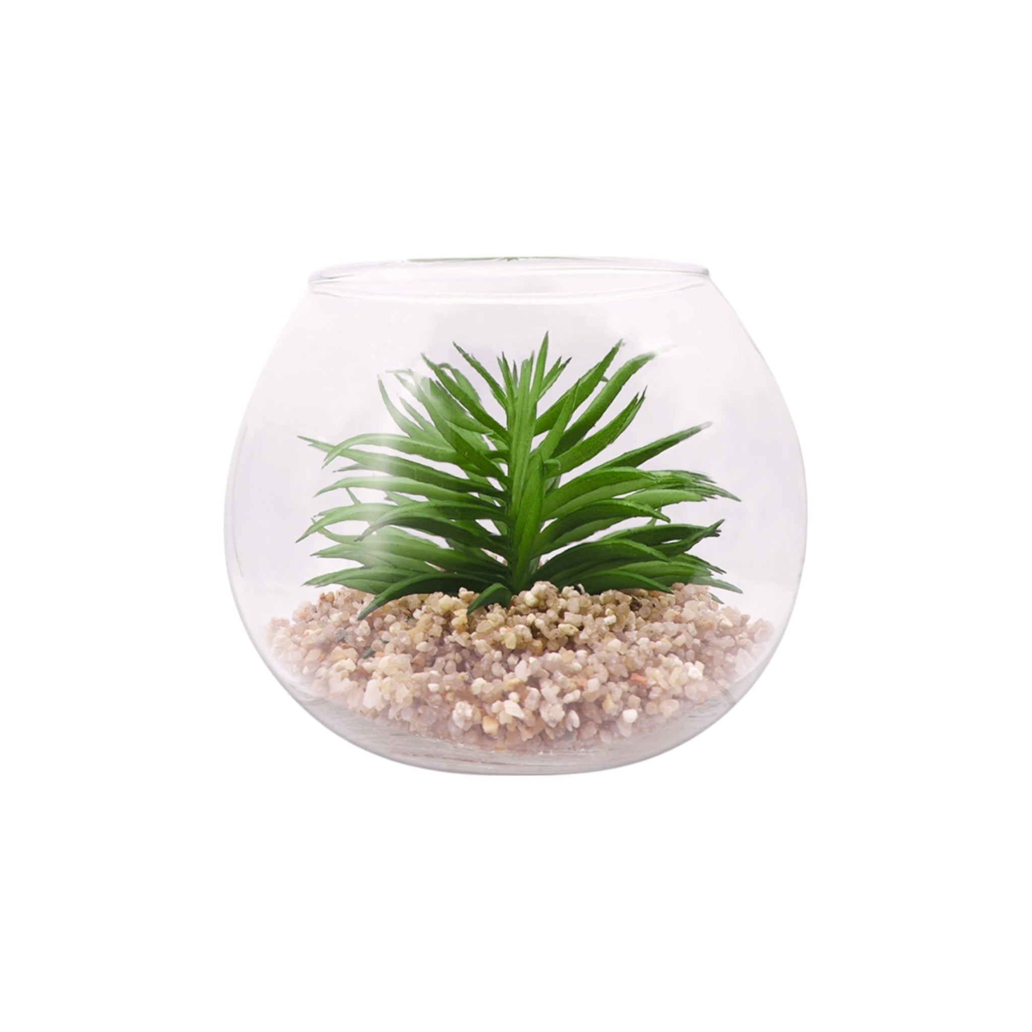 Regent Artificial Succulent In Clear Glass Pot Large 120x100mm