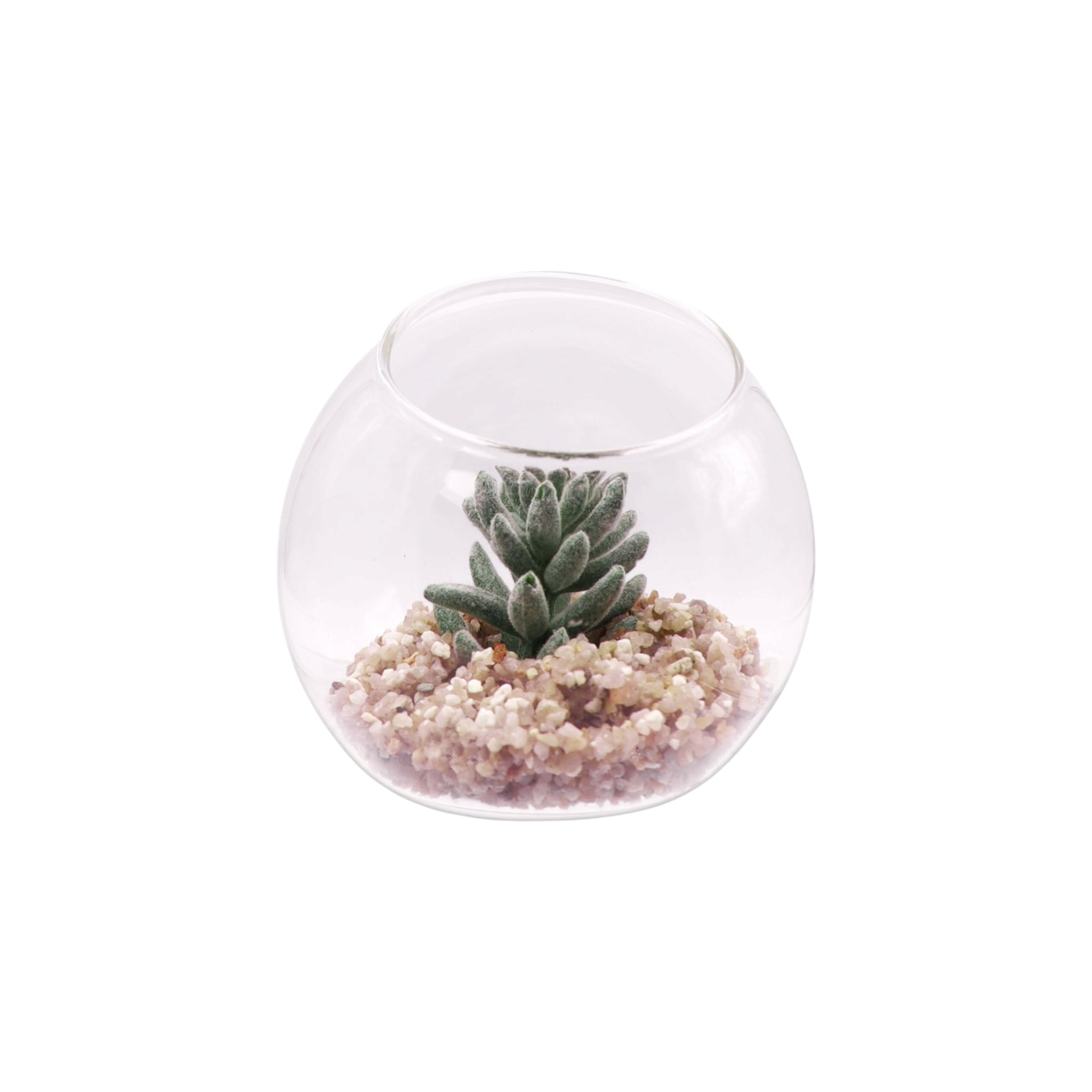 Regent Artificial Succulent In Clear Glass Sphere Small 80x74mm