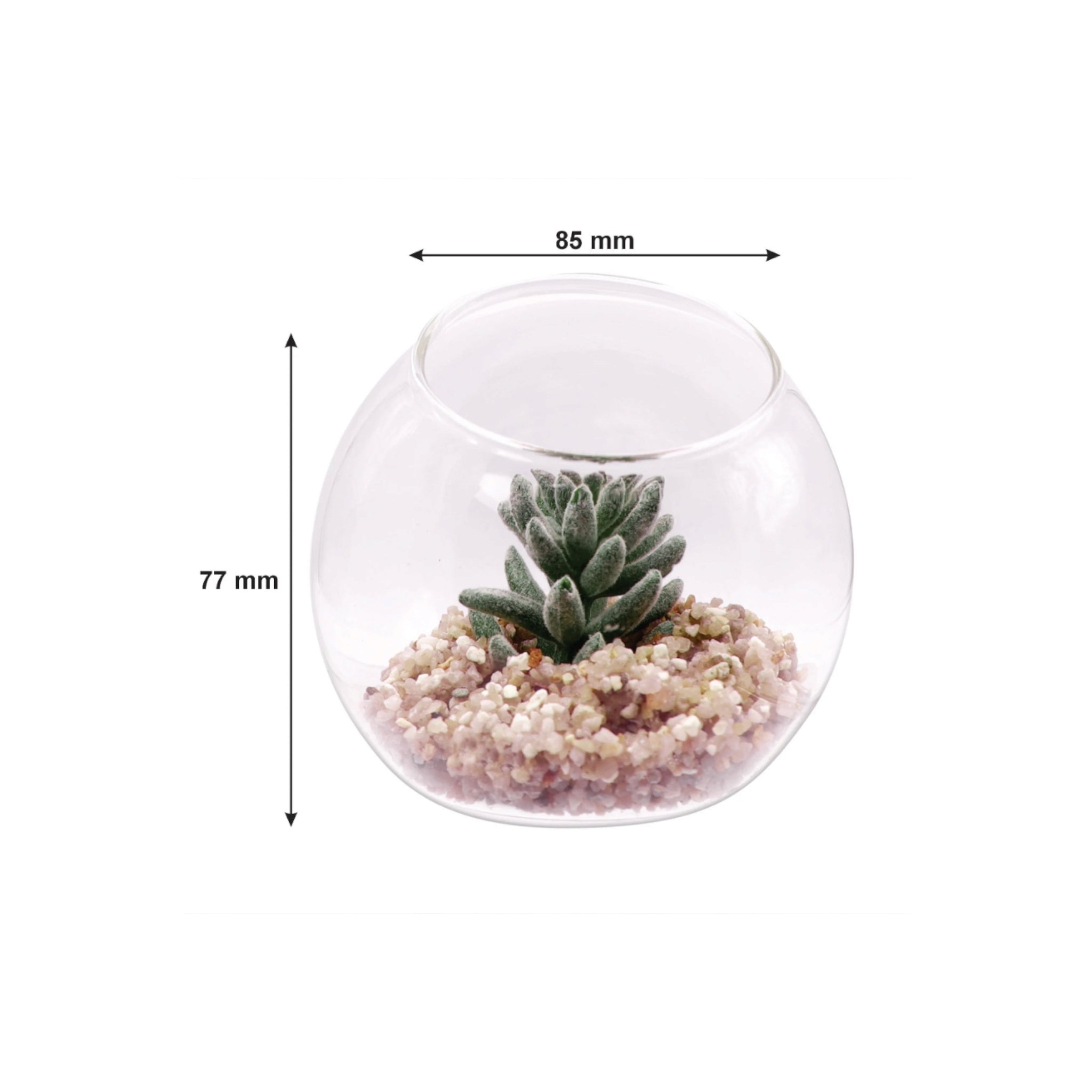 Regent Artificial Succulent In Clear Glass Sphere Small 80x74mm