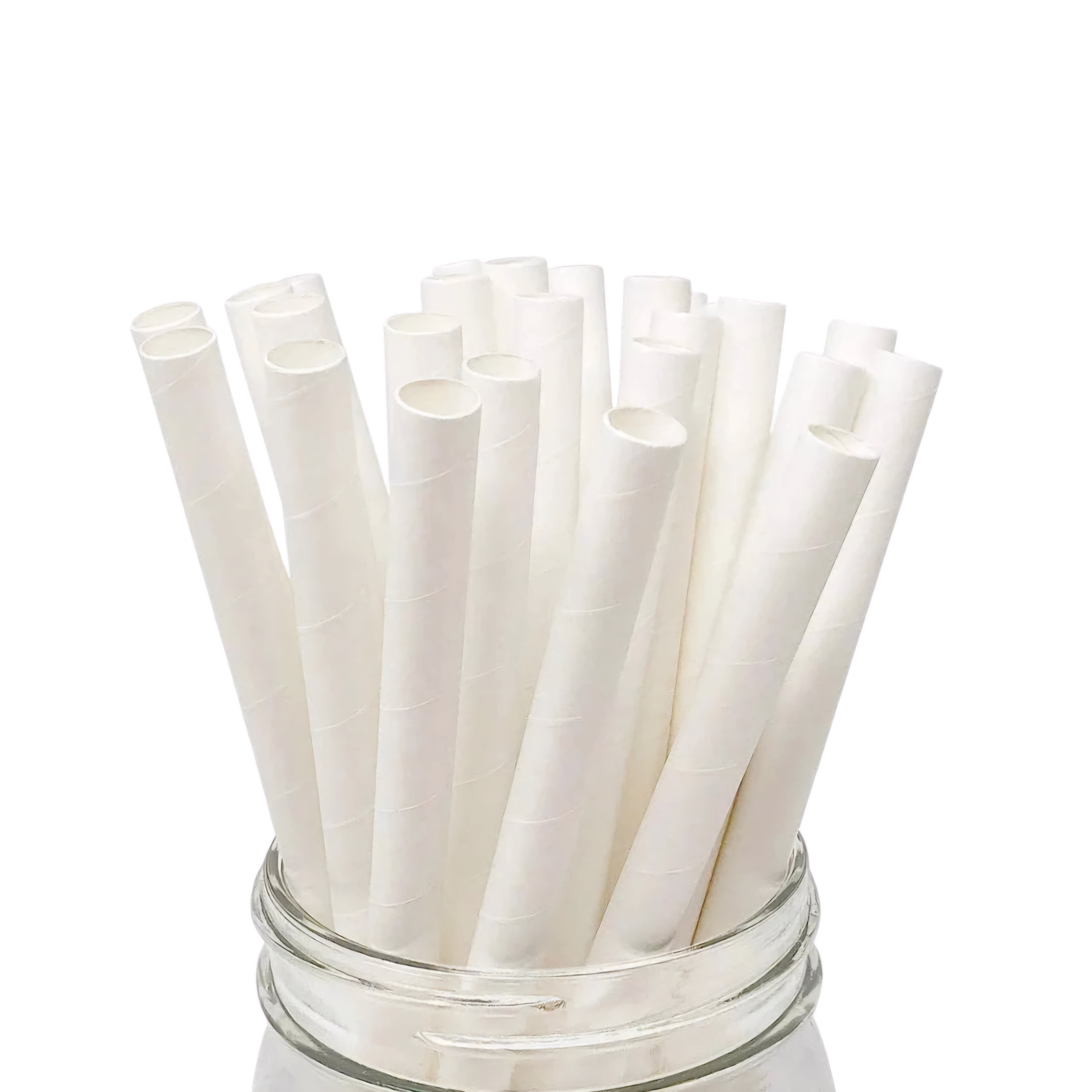 Disposable Paper Straws 25pack