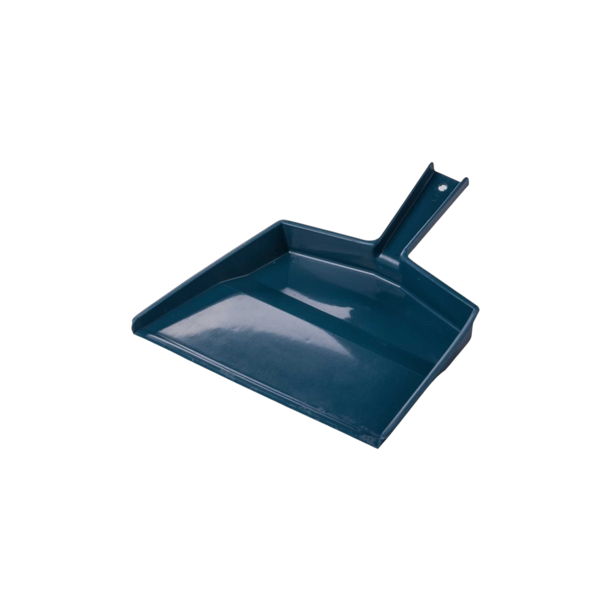 Plastic Dustpan Buzz