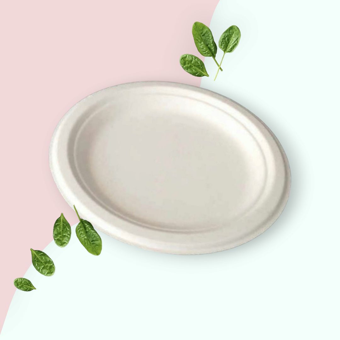 Biodegradable Bagasse Takeaway Plate Round 25cm
