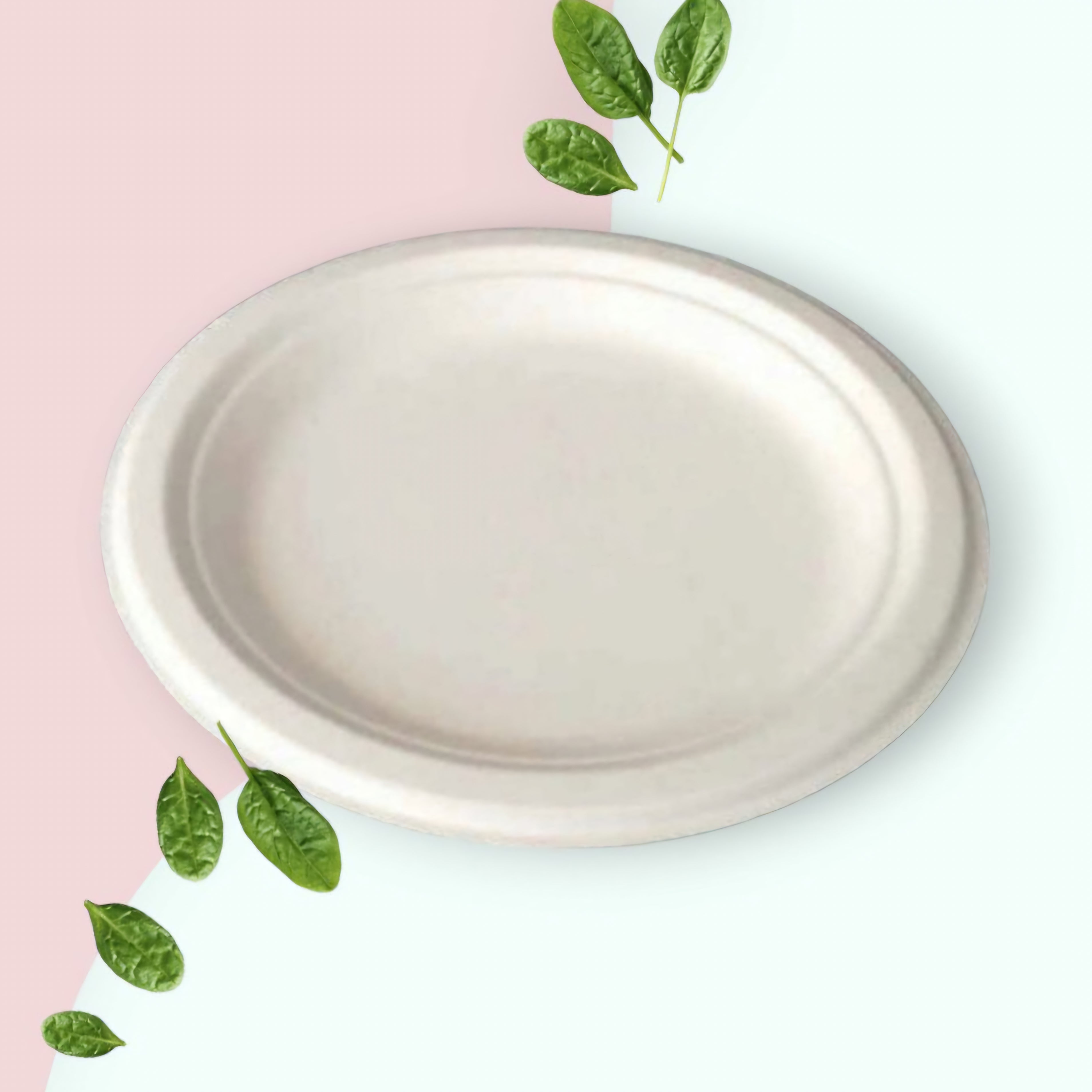 Biodegradable Bagasse Takeaway Plate Round 23cm