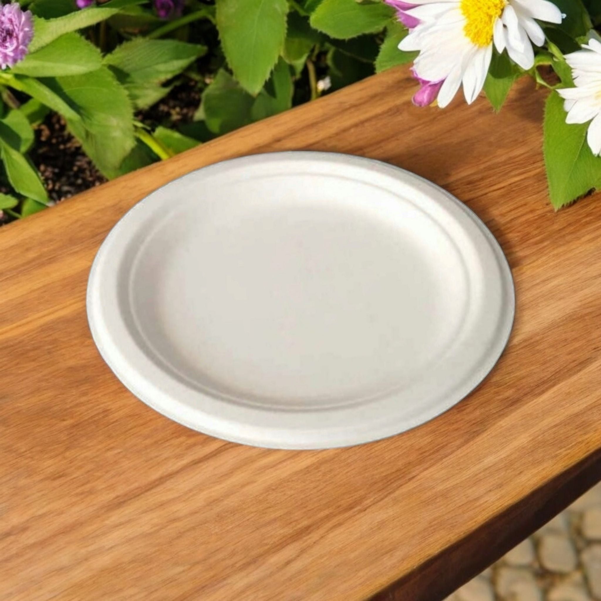 Biodegradable Bagasse Takeaway Plate Round 23cm