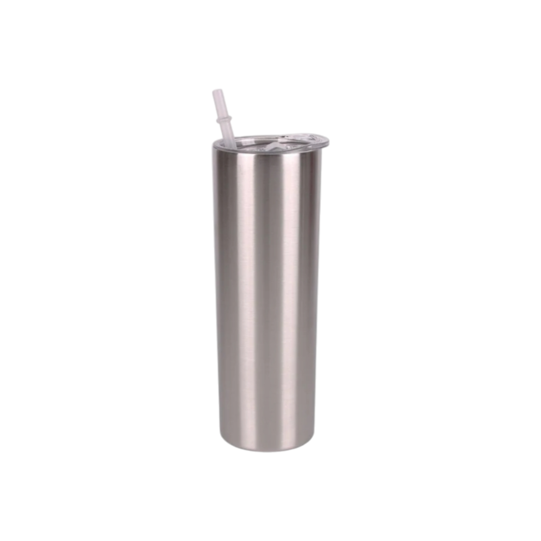 Skinny Metallic Thermos Drinking Tumbler 590ml Stainless Steel with Lid & Straw