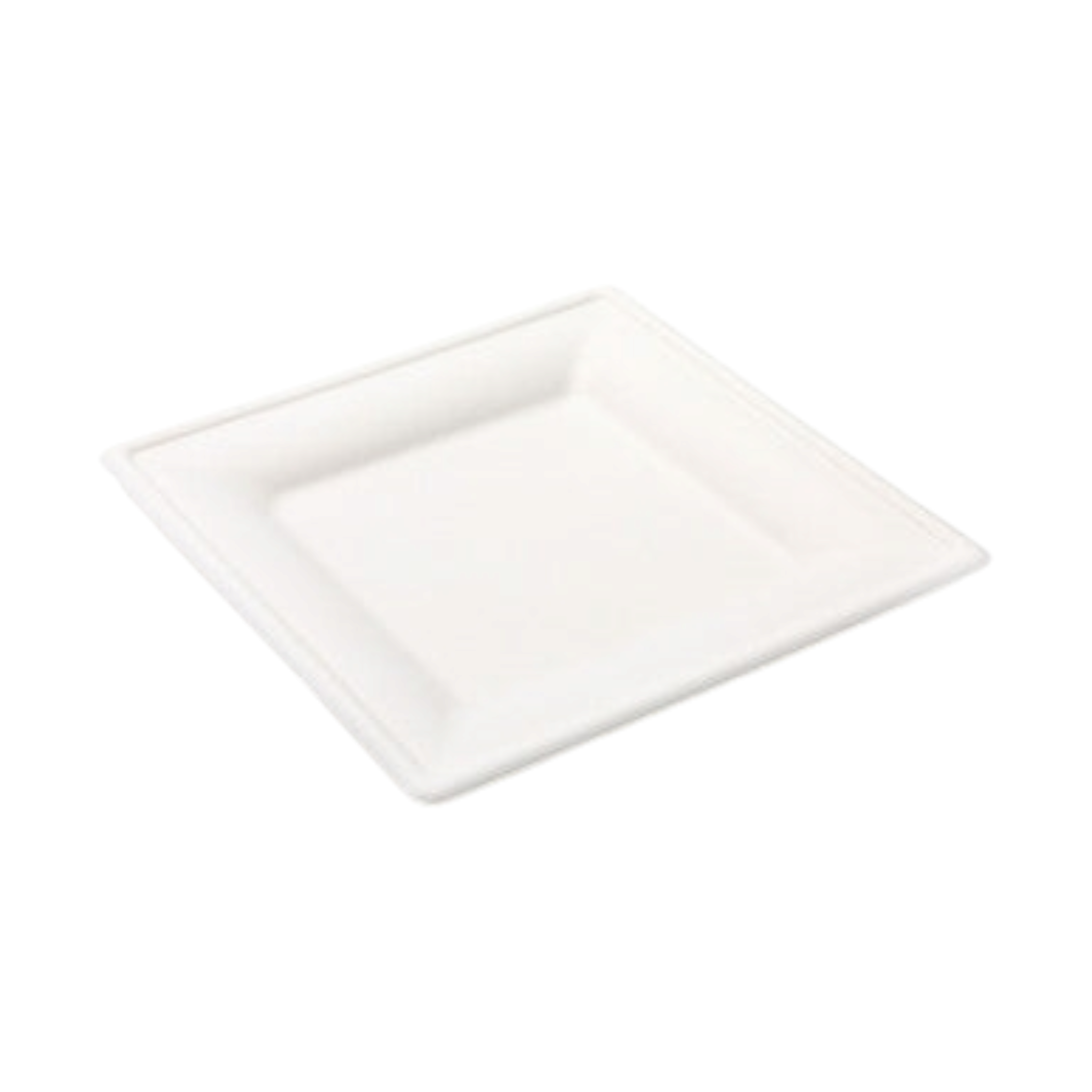 Biodegradable Bagasse Takeaway Plate Square 26x26cm 5pack