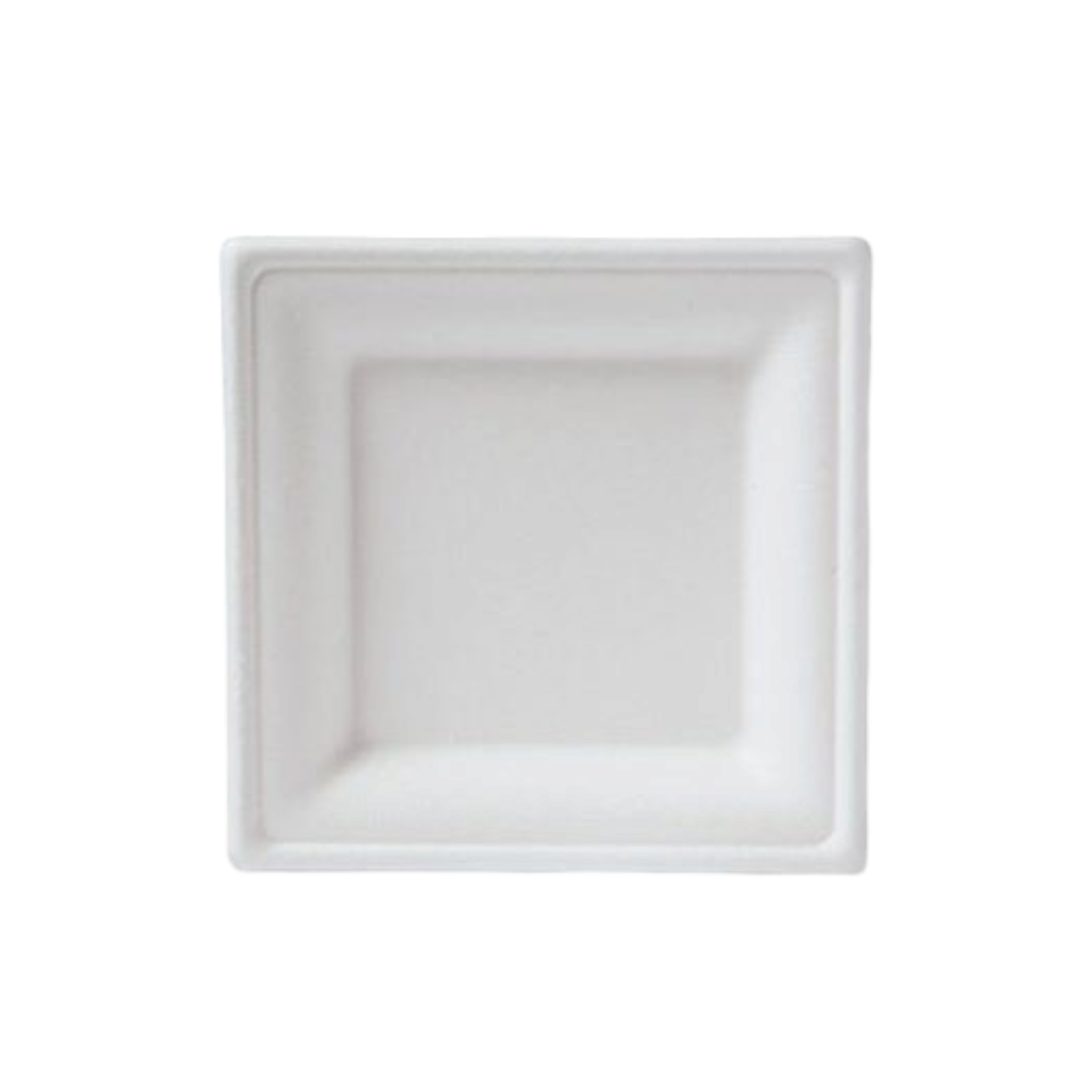 Biodegradable Bagasse Takeaway Plate Square 26x26cm 5pack