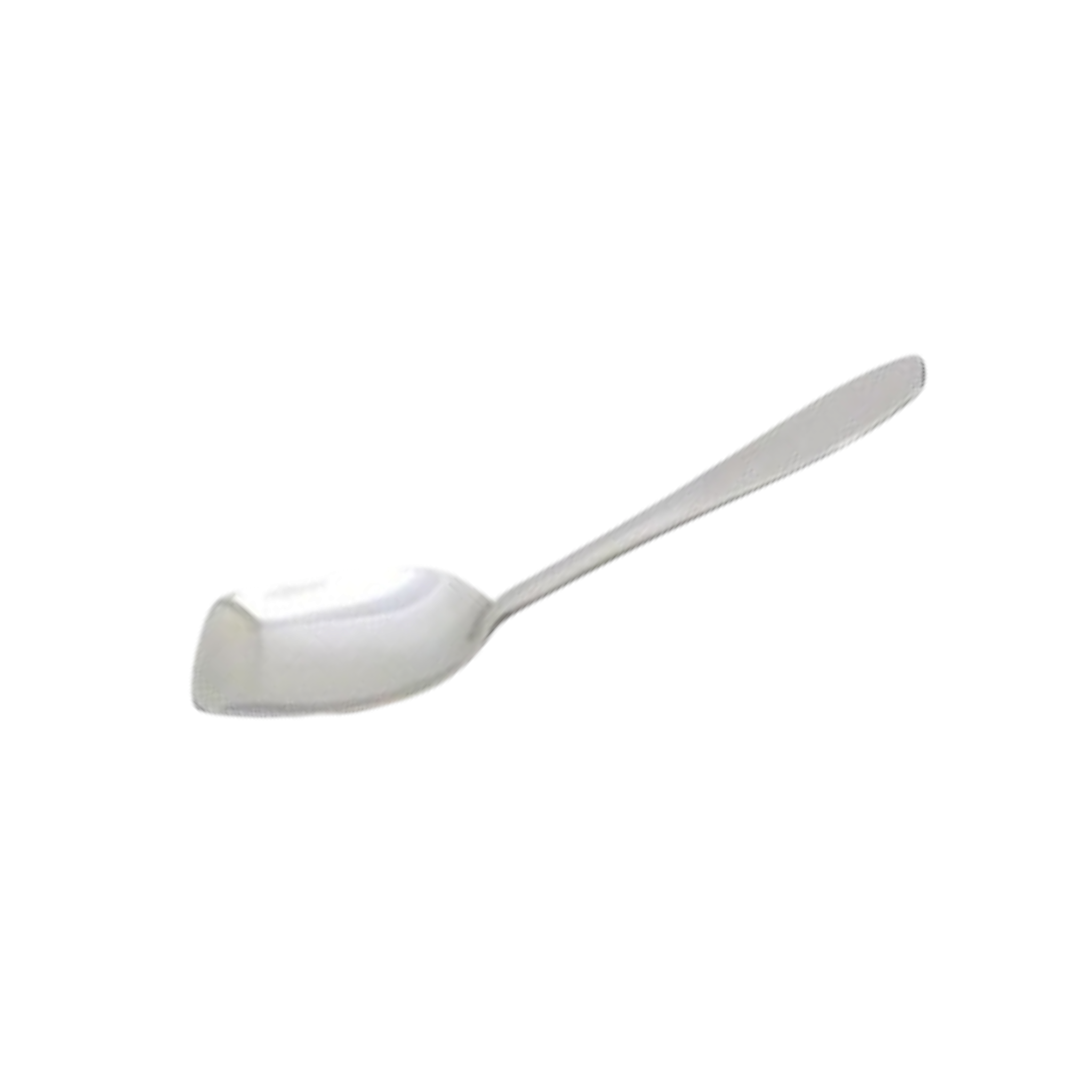 Stainless Steel Curry Spoon 27cm