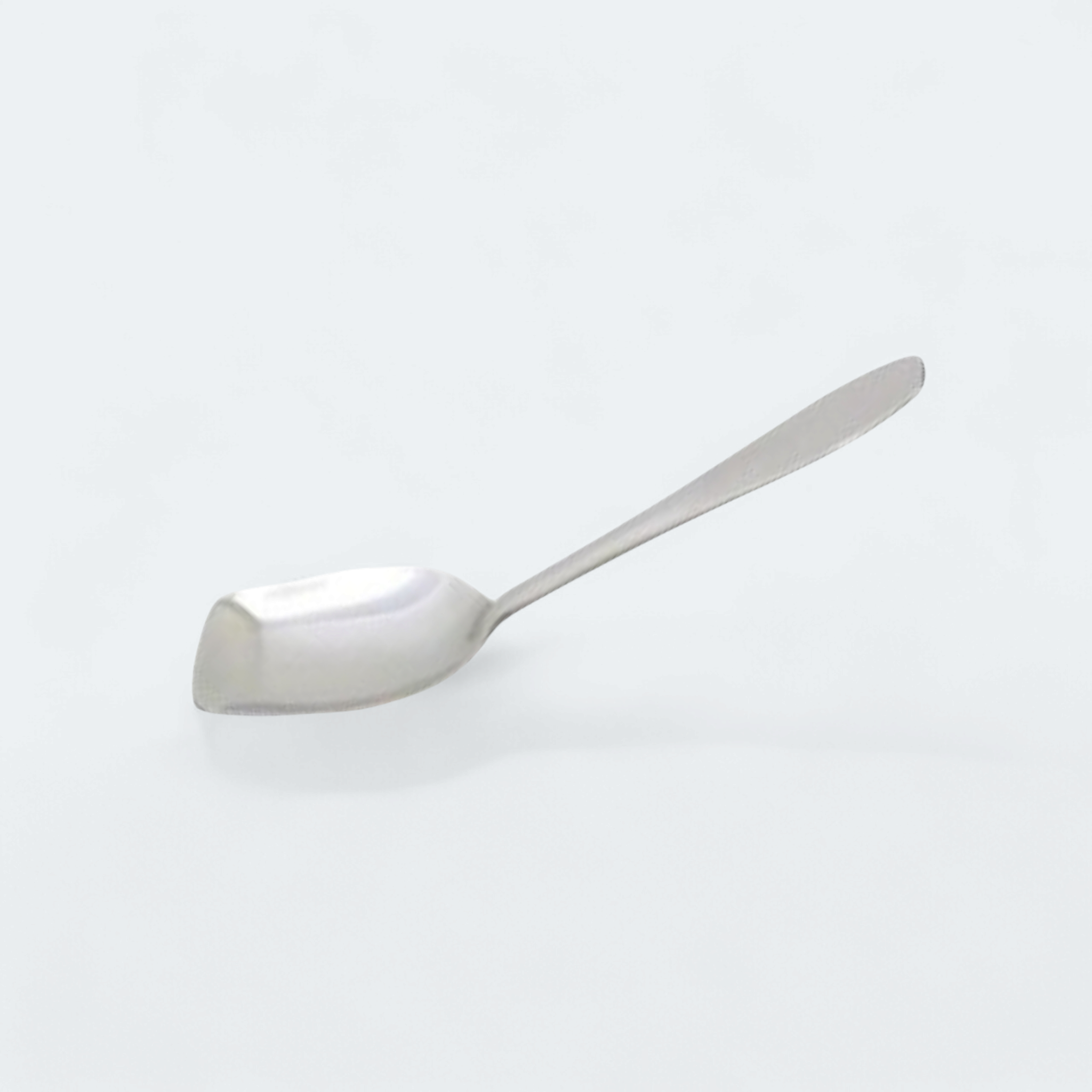 Stainless Steel Curry Spoon 27cm