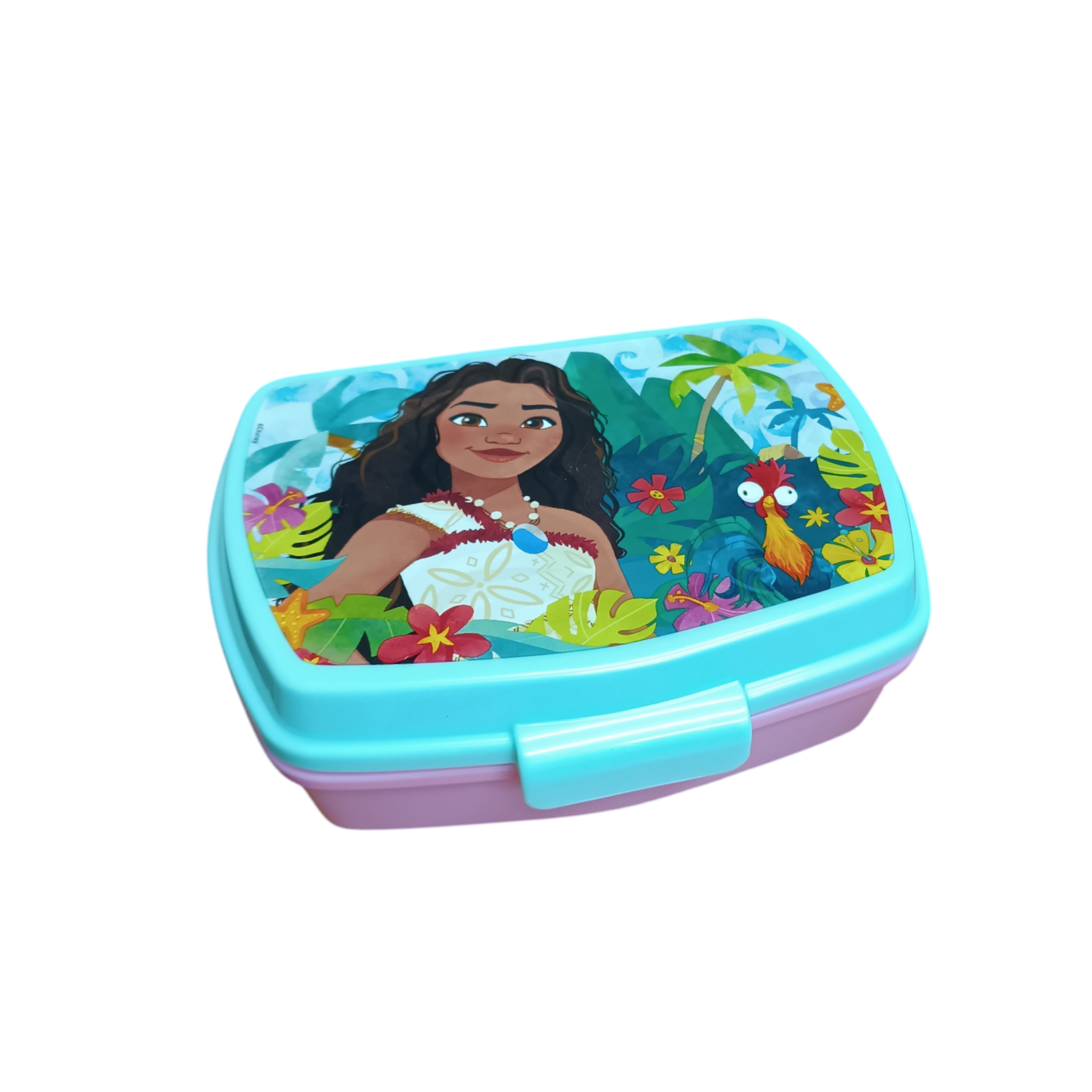 Disney Moana Sandwich Box Beach