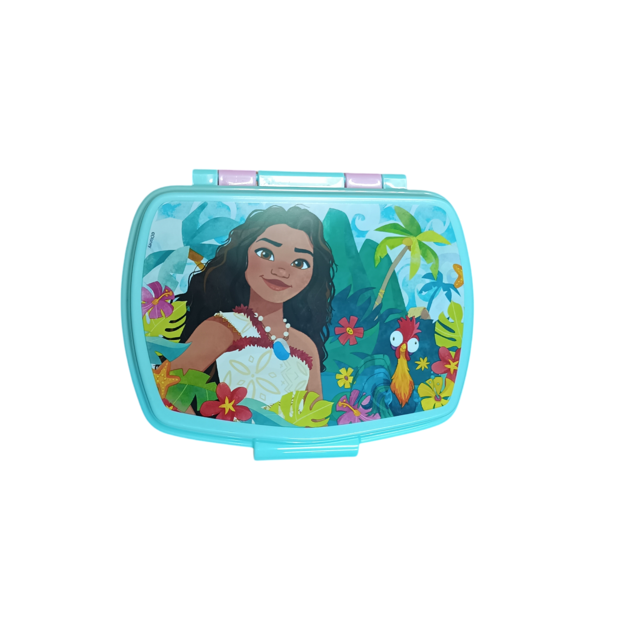 Disney Moana Sandwich Box Beach