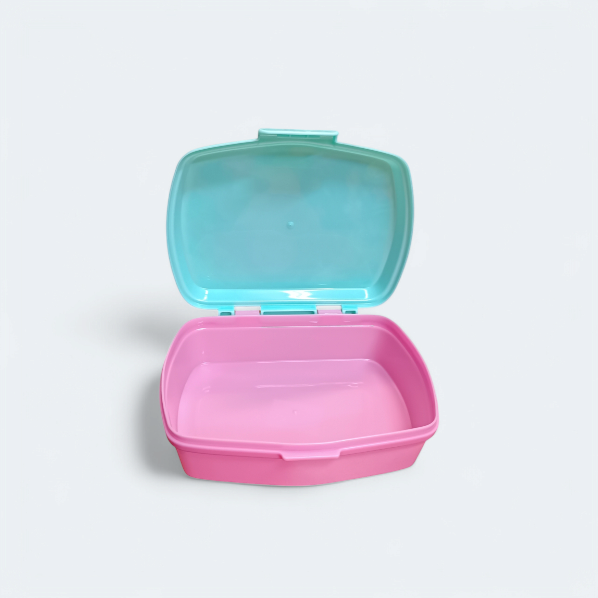 Disney Moana Sandwich Box Beach