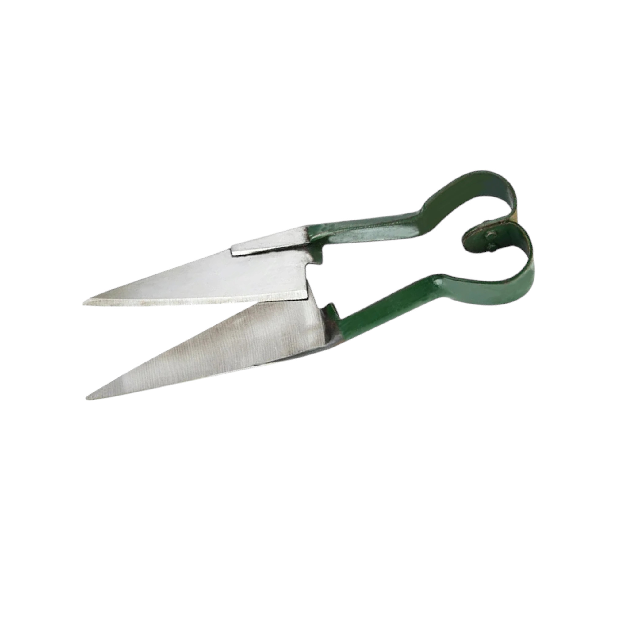 Brentwood Sheep Shear Green BRSS