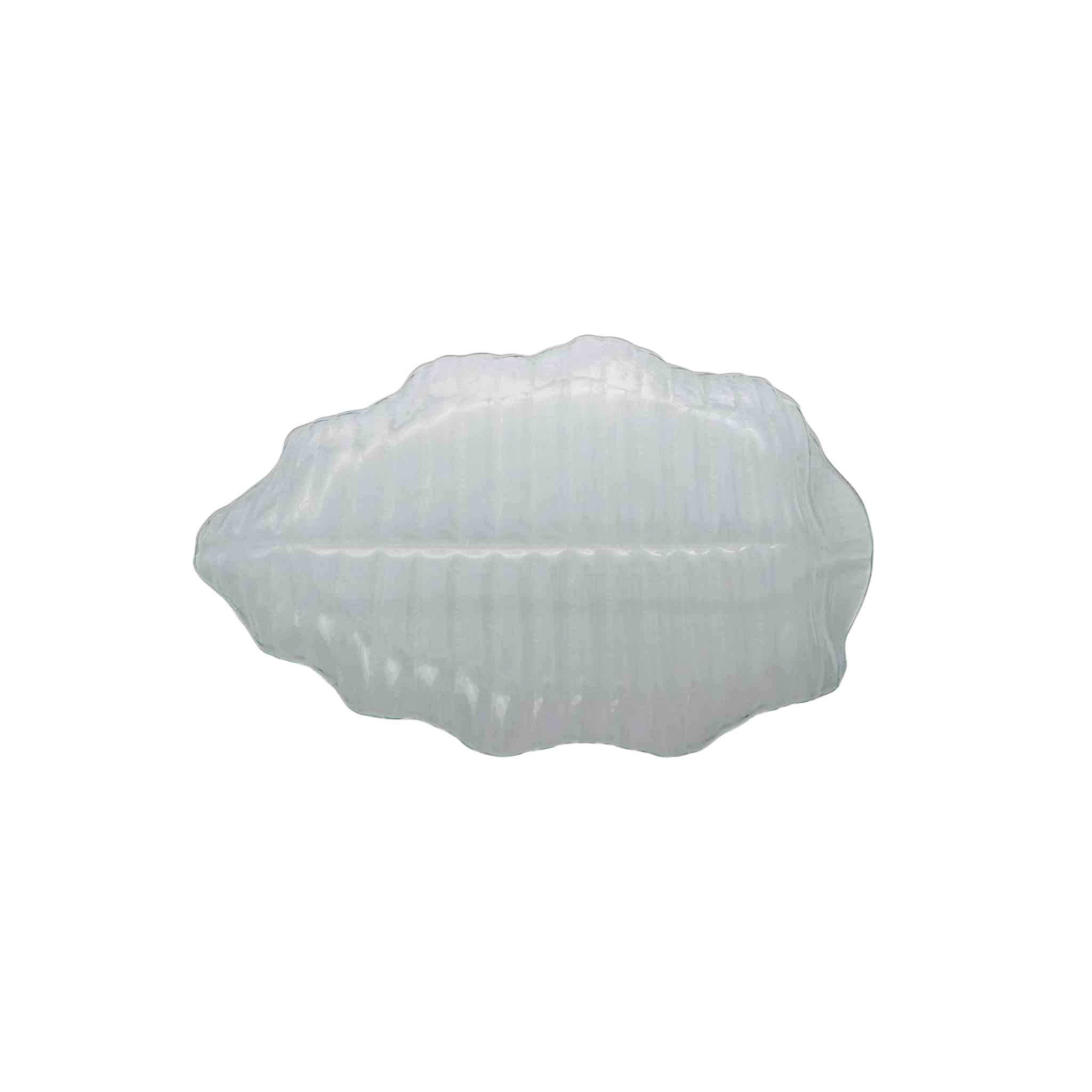 Regent Glass Leaf Platter Bubble Large 460x280x45mm