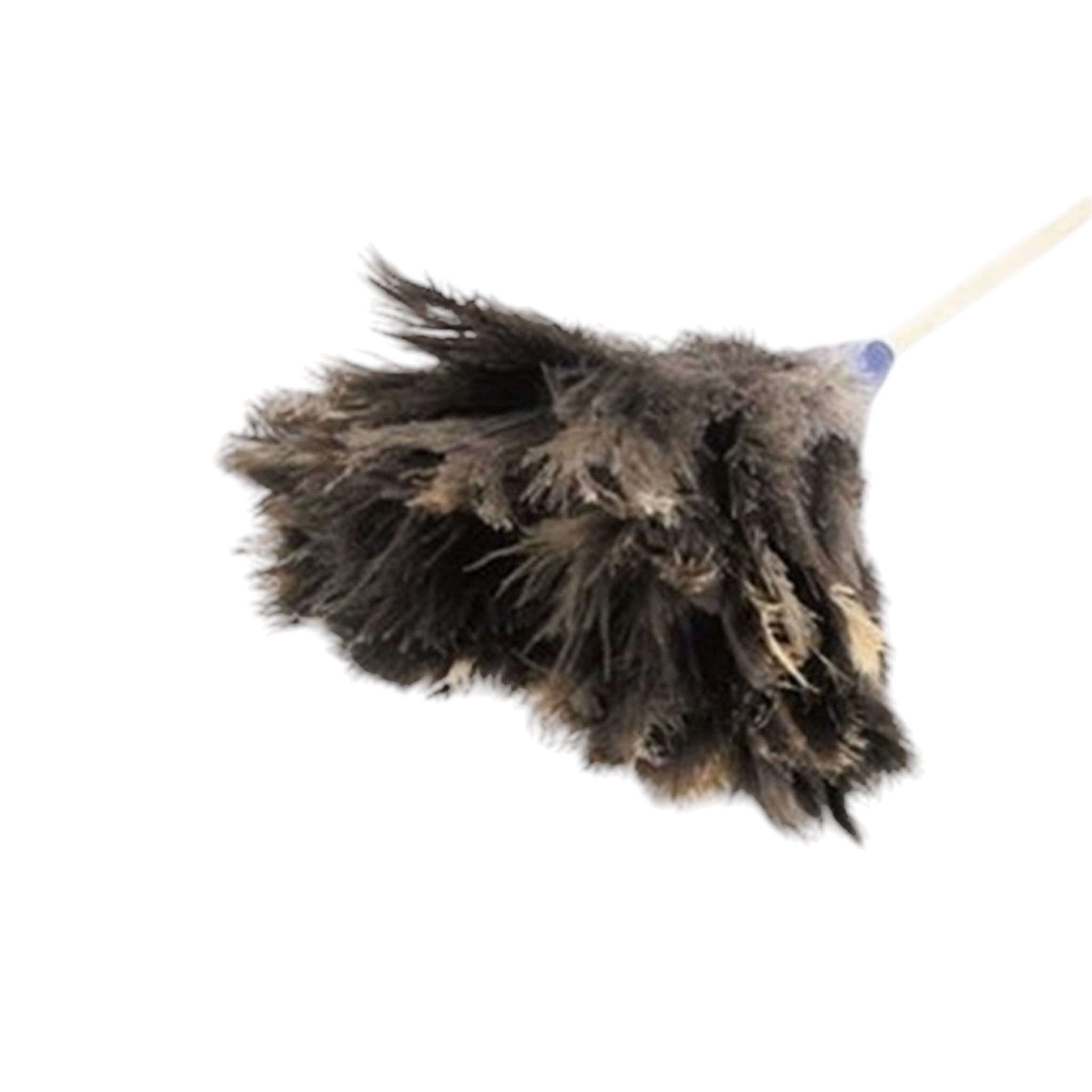 Academy Ostrich Feather Duster 450mm F9008