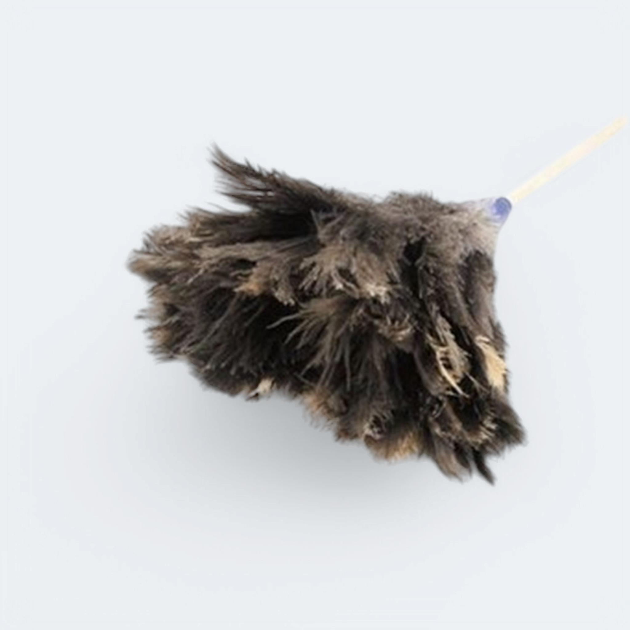 Academy Ostrich Feather Duster 450mm F9008